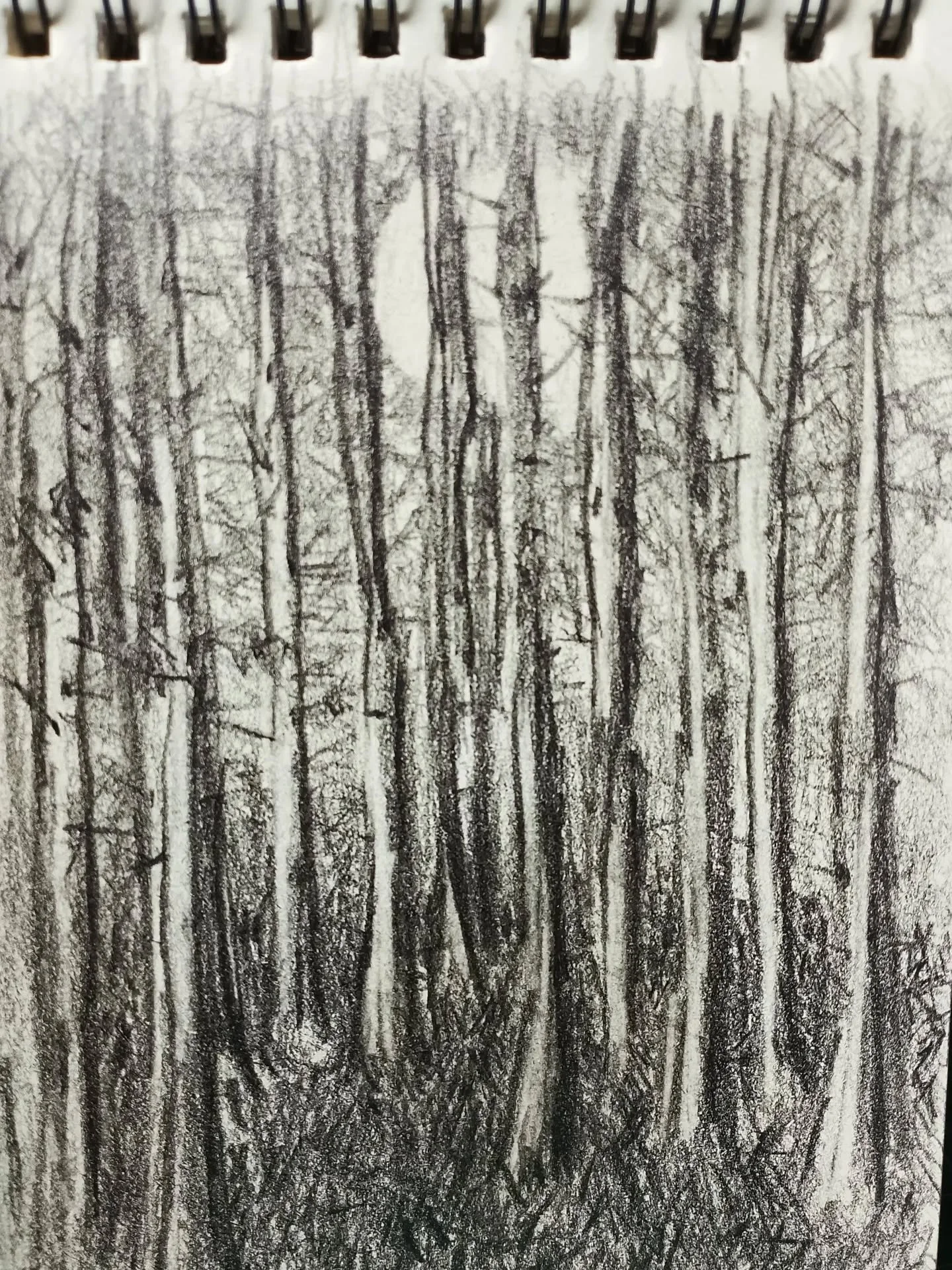 A simple sketch of a pine copse &mdash; a quiet study of rhythm and repetition.

#sketchbookart 
#pinecpose
#pencildrawing 
#سیاه_قلم