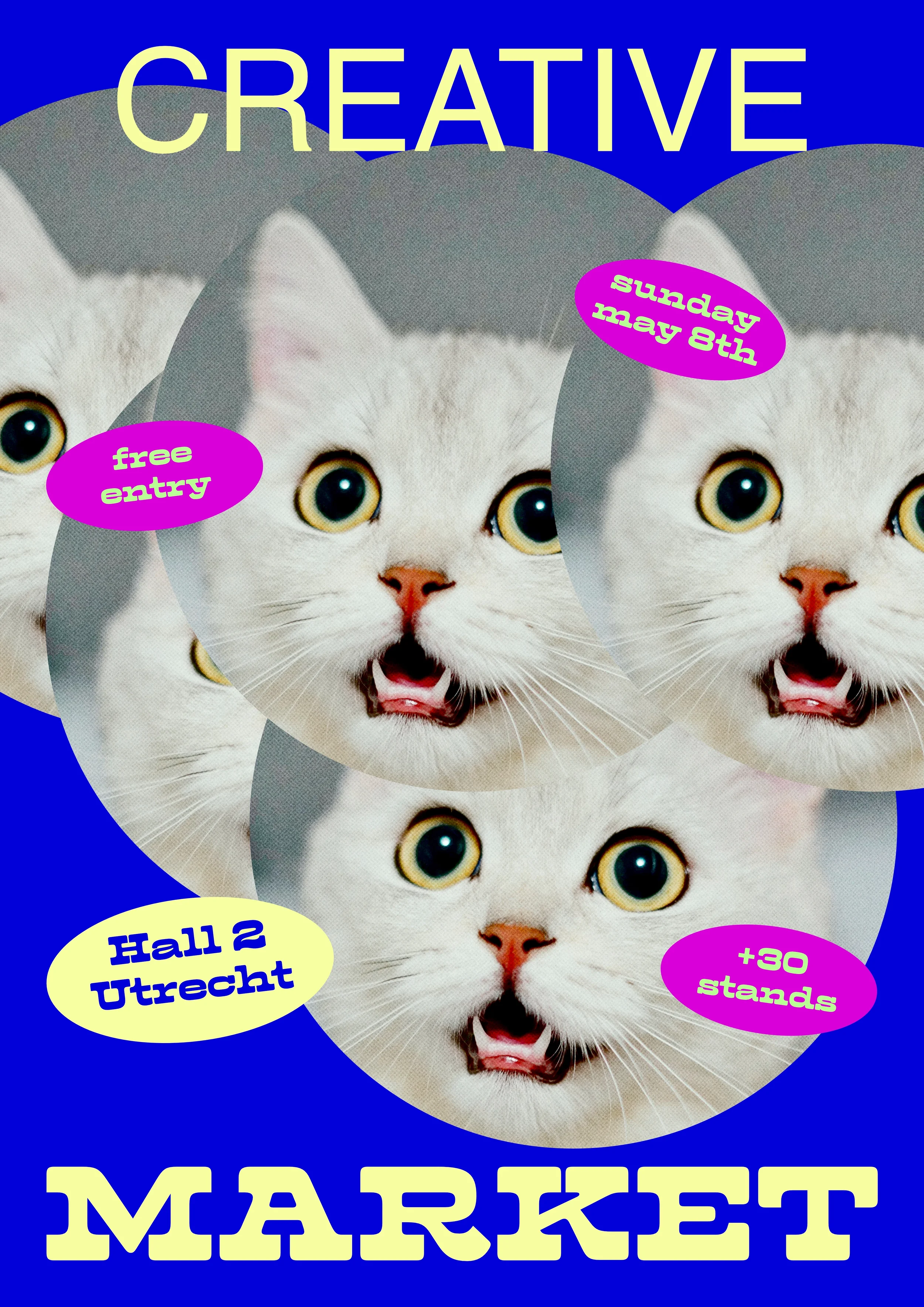 cat-market.webp