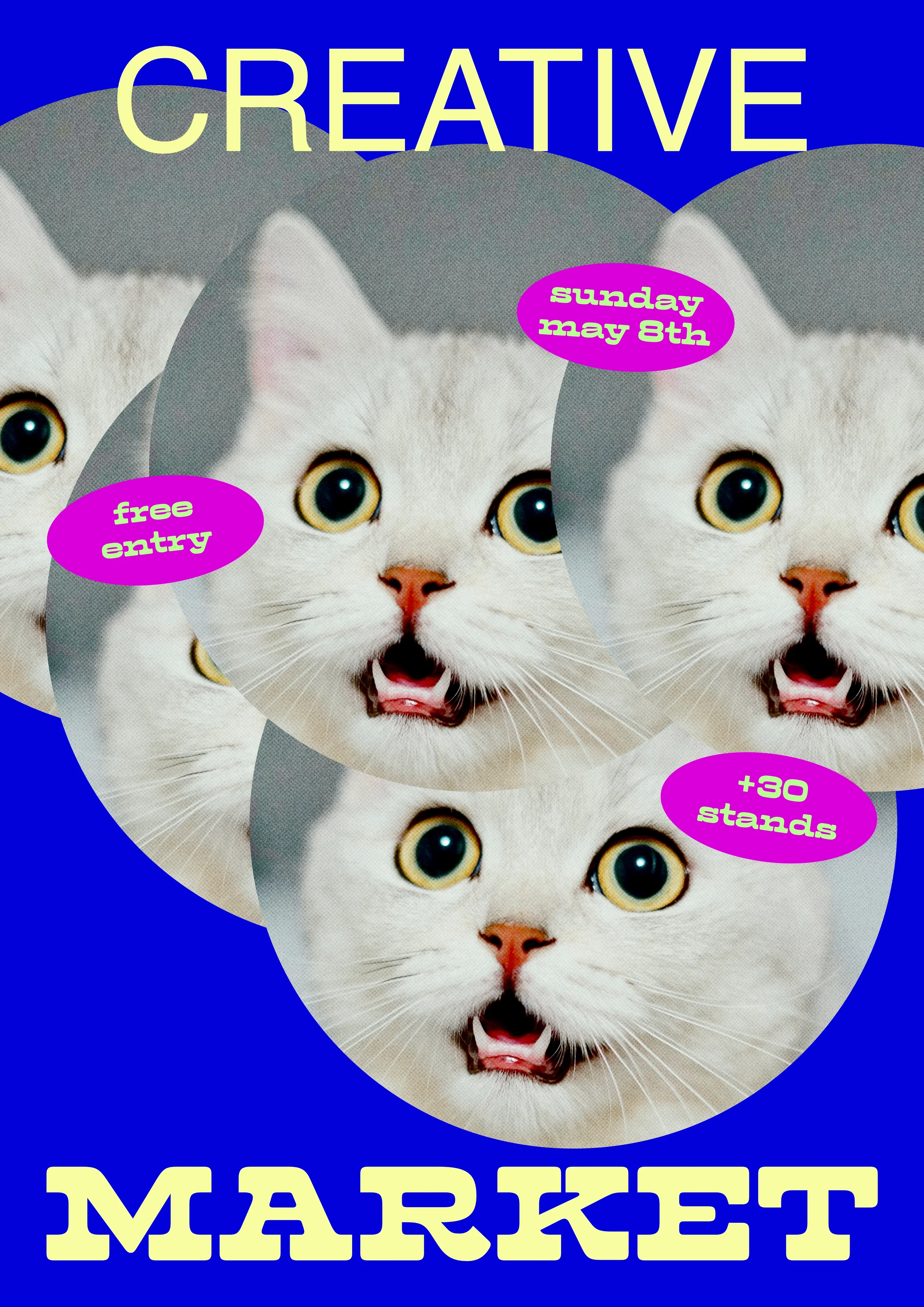 cat-market.webp