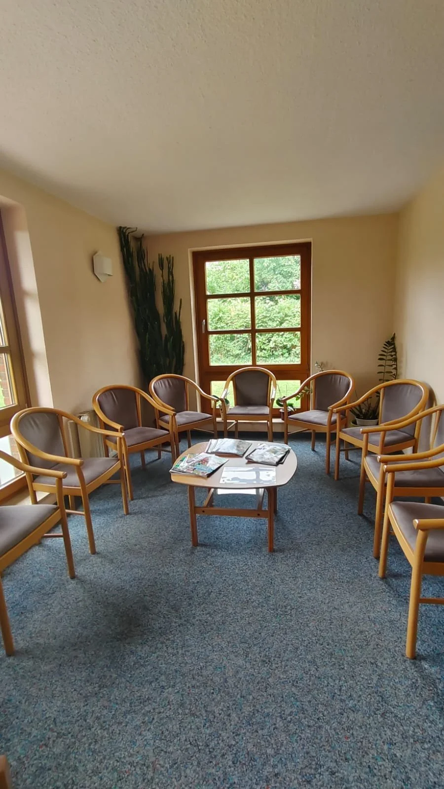 Wartezimmer mit Stühlen in einem Kreis und einem kleinen Tisch in der Mitte, Blick auf einen großen Fensterschirm mit grüner Außenansicht, Pflanzen an den Wänden.
