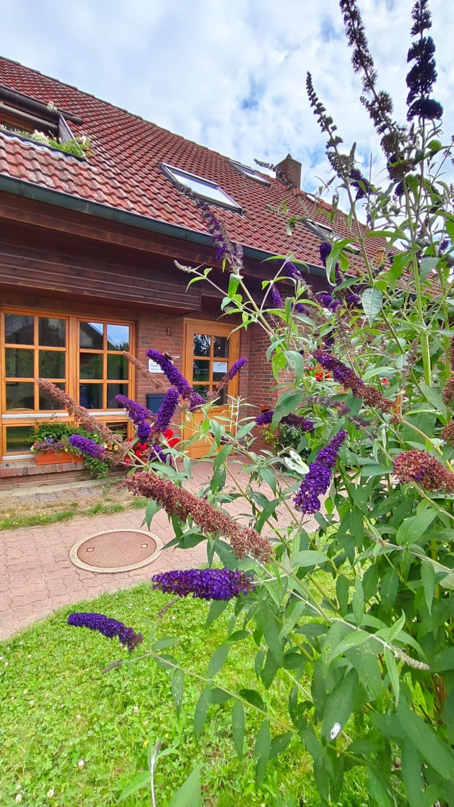 Ein Haus mit roten Ziegel-Dach, Fenster mit Holzrahmen, grüne Pflanzen und violette Blumen im Vordergrund, bewölkter Himmel.