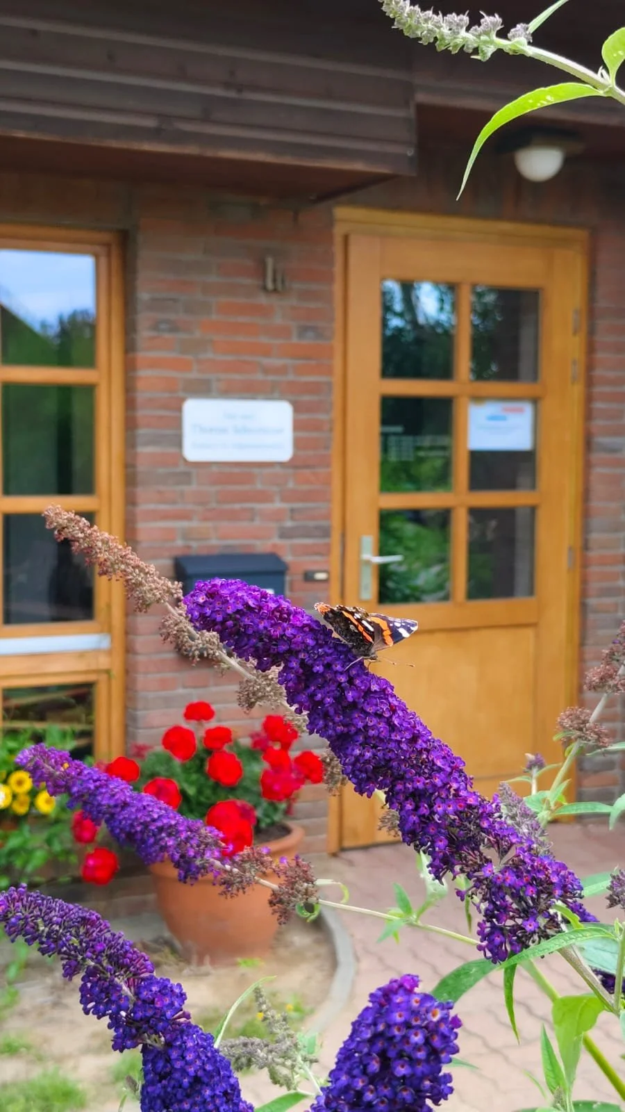Bunt blühende Pflanzen und ein Schmetterling vor einem Holz- und Backsteingebäude mit Fenster und Tür.