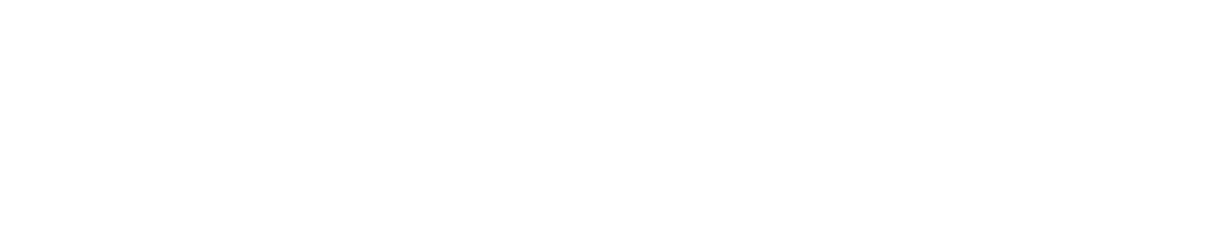 LH logo hvid