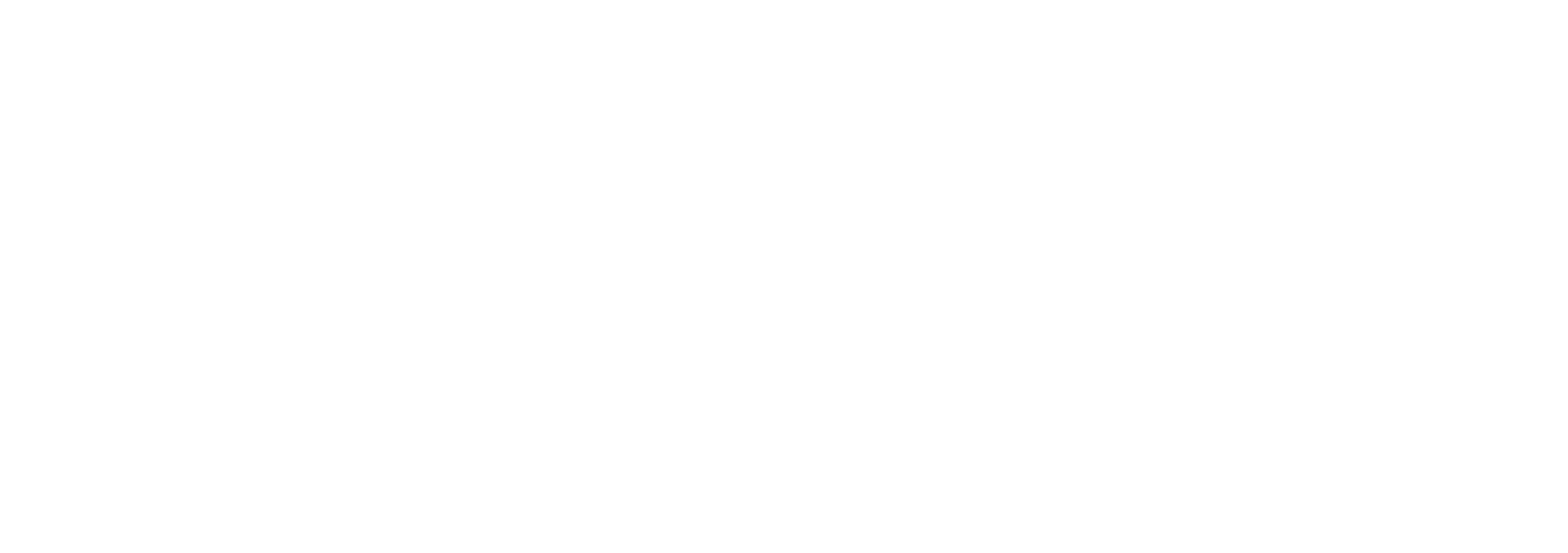 BAS logo hvid