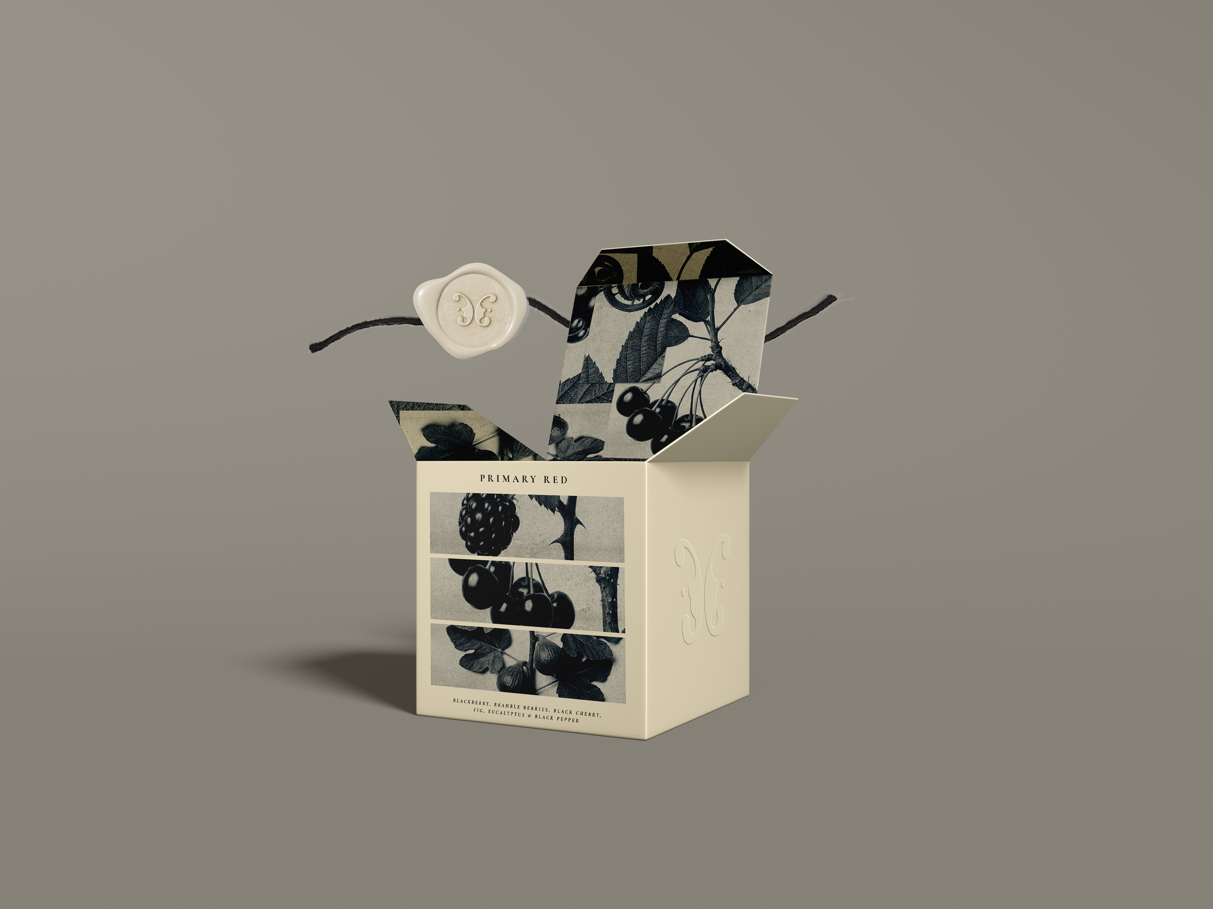 Mockup Box.png