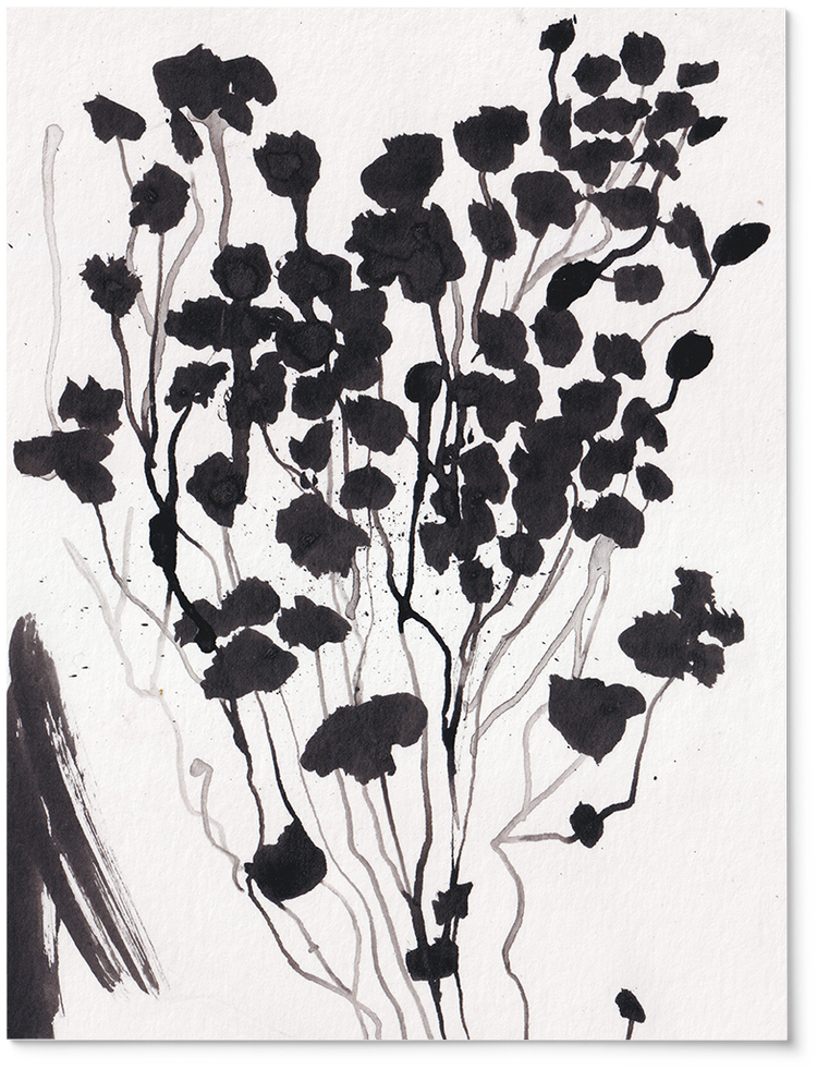 Vevai ink botanical