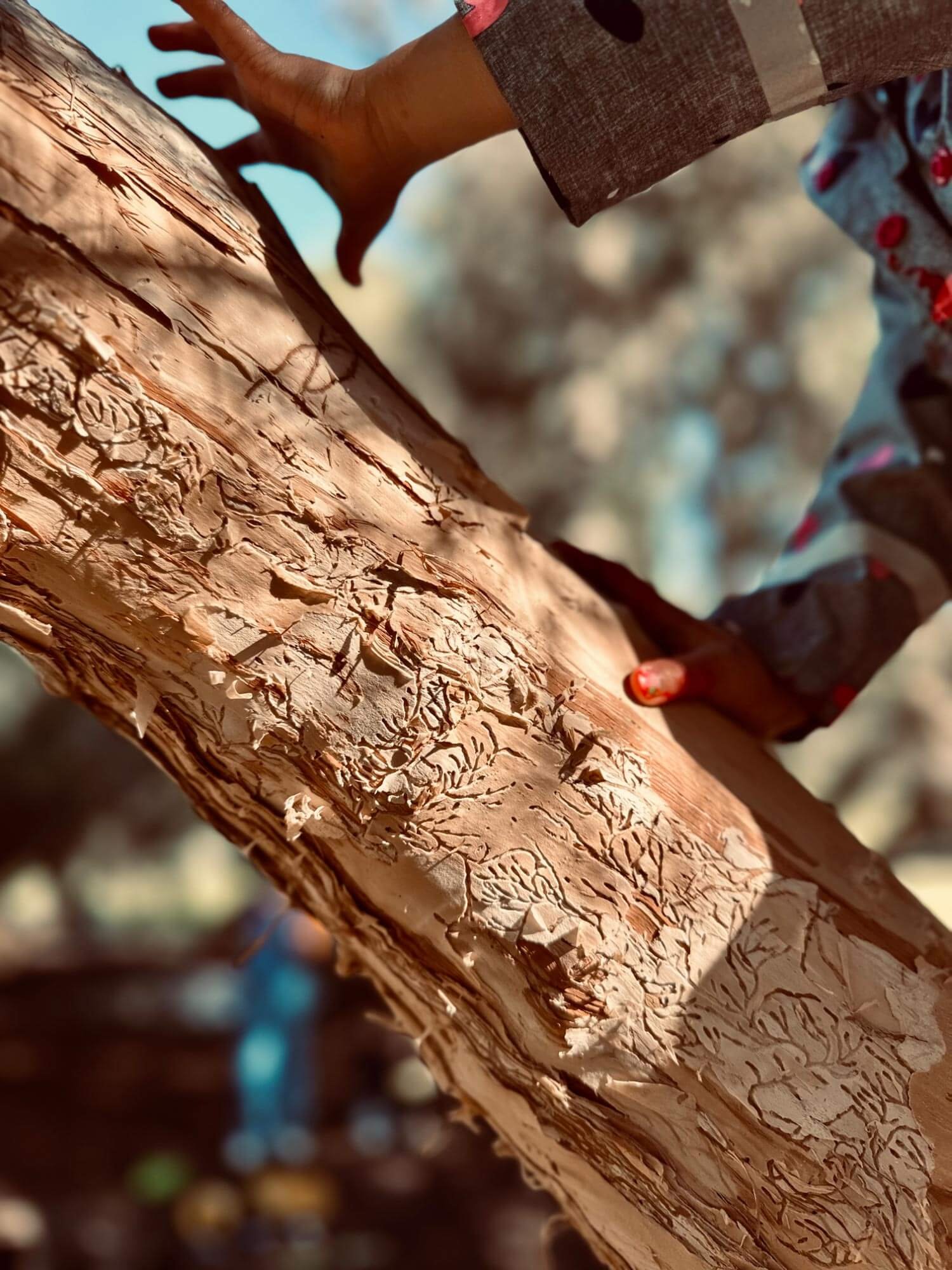 We-are-nature-little-hands-on-tree-with-insect-lines.jpg