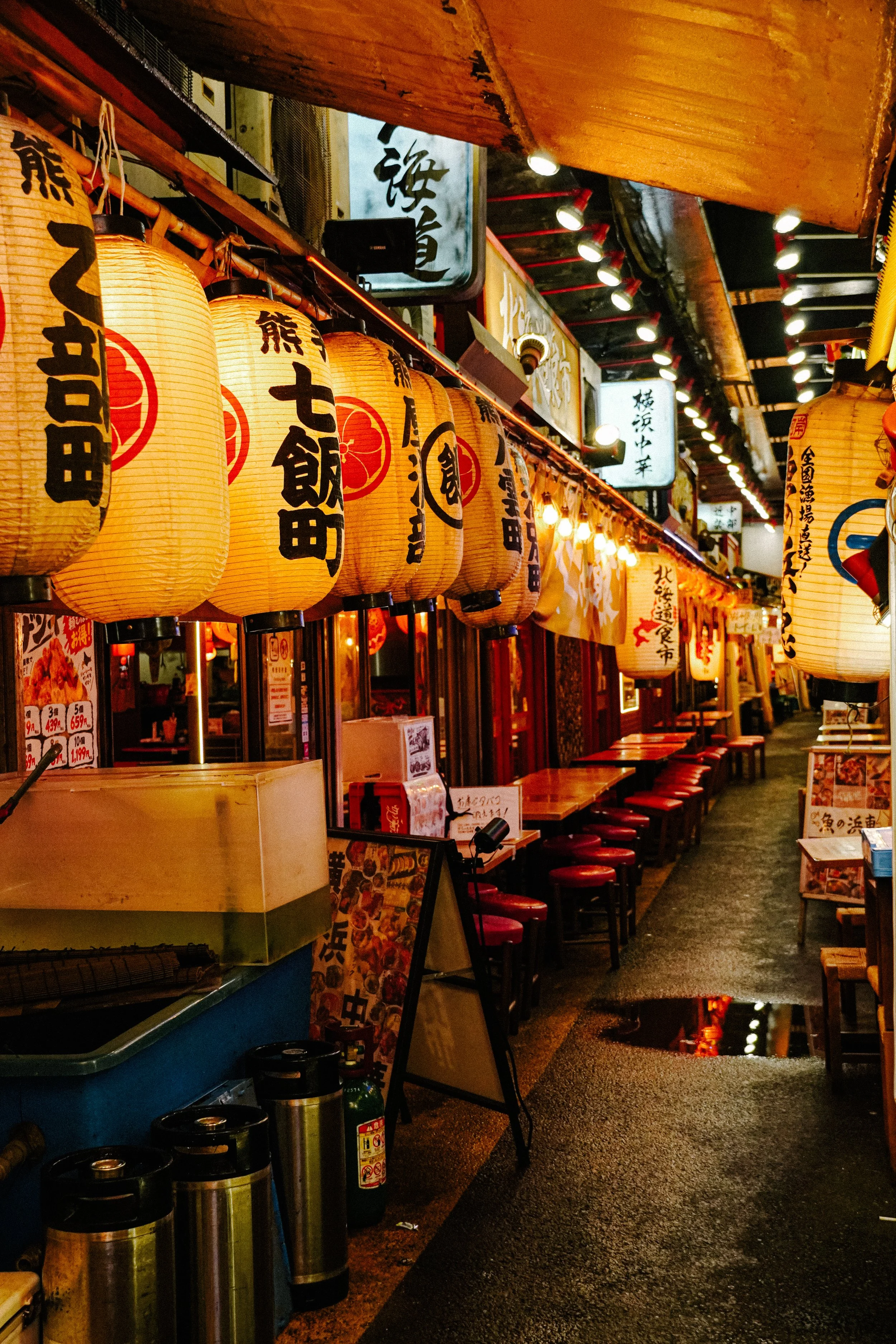 DSC01298-2.jpeg