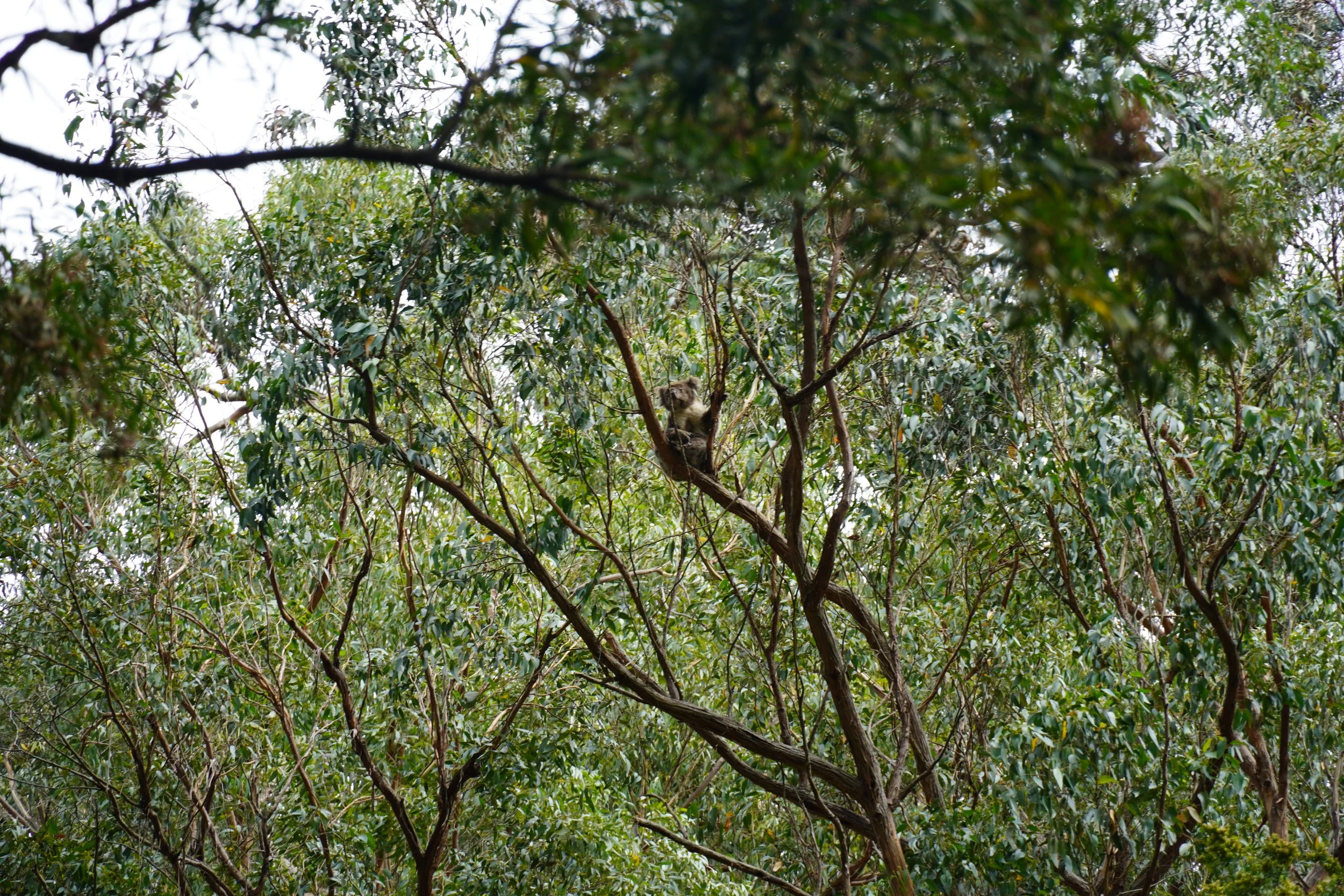 DSC00408.jpeg