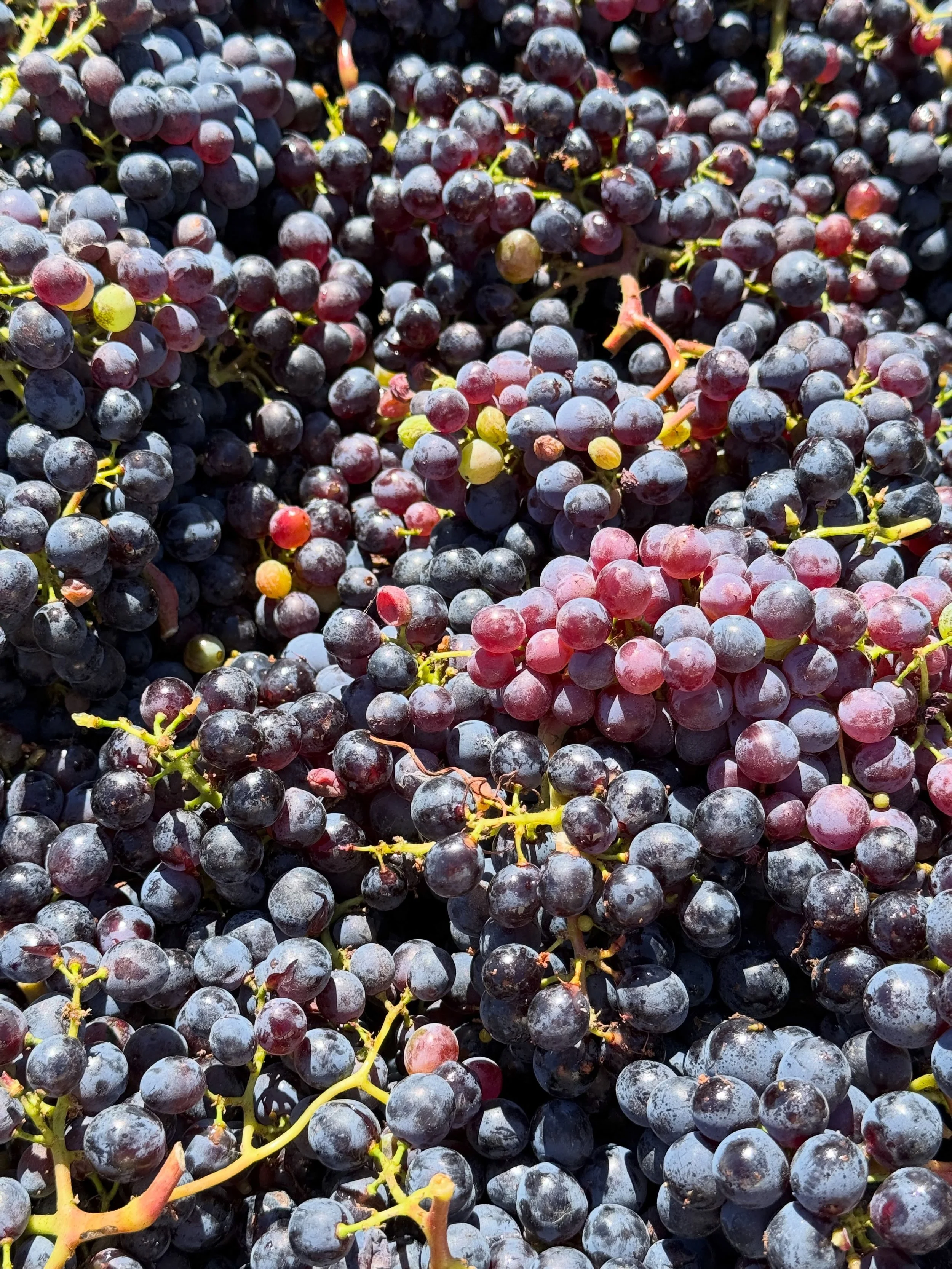 September&rsquo;s bounty&hellip;