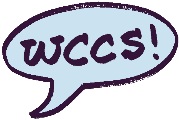 WCCS 96.5 FM