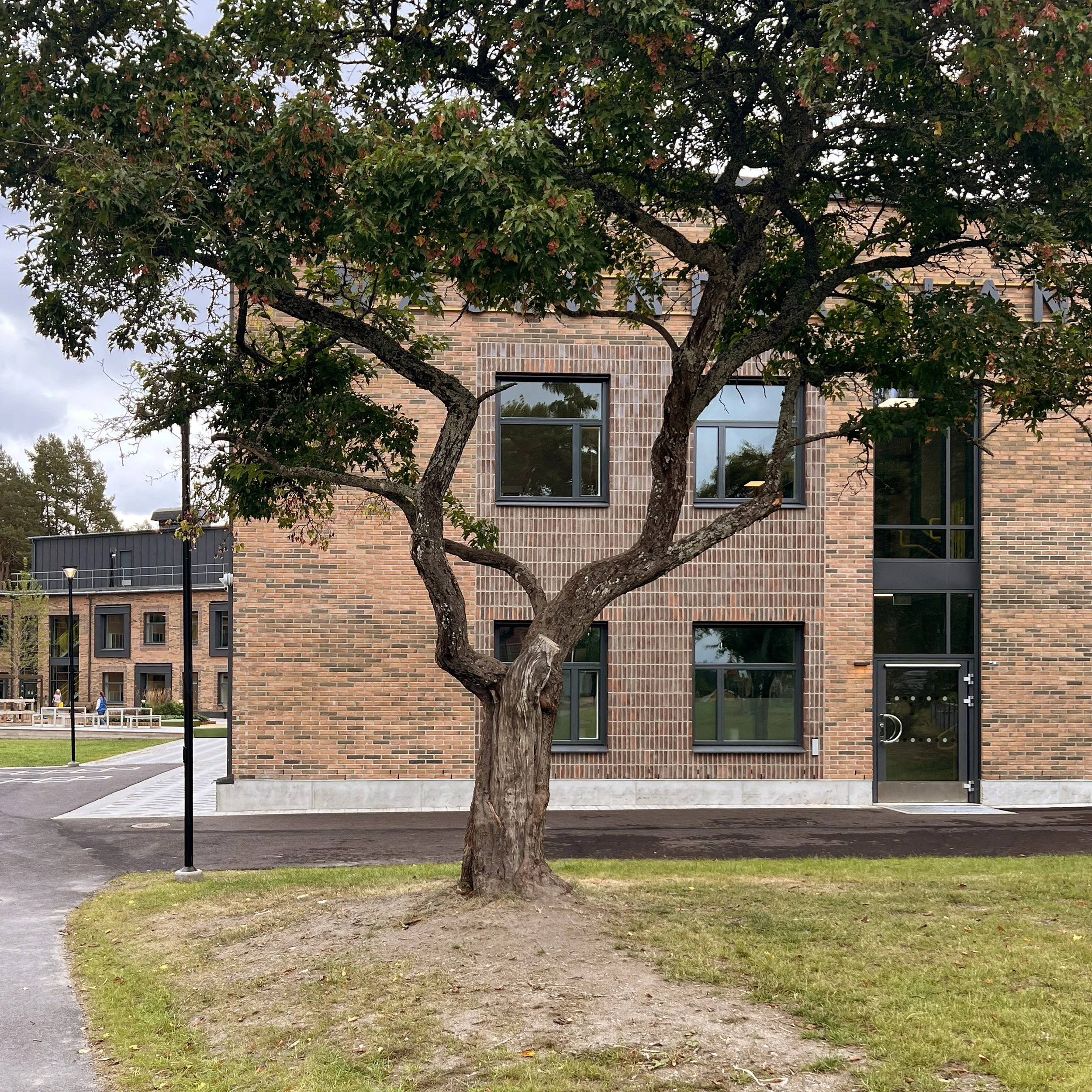 Näslundskolan