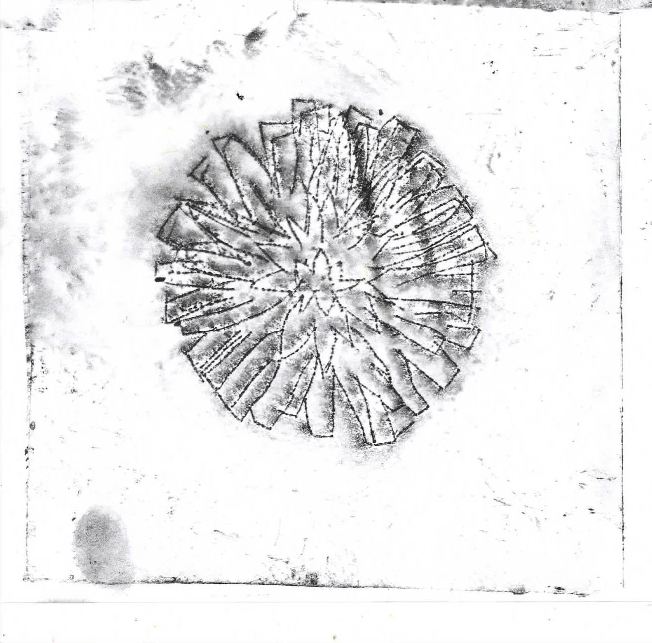 Scan 25.jpeg