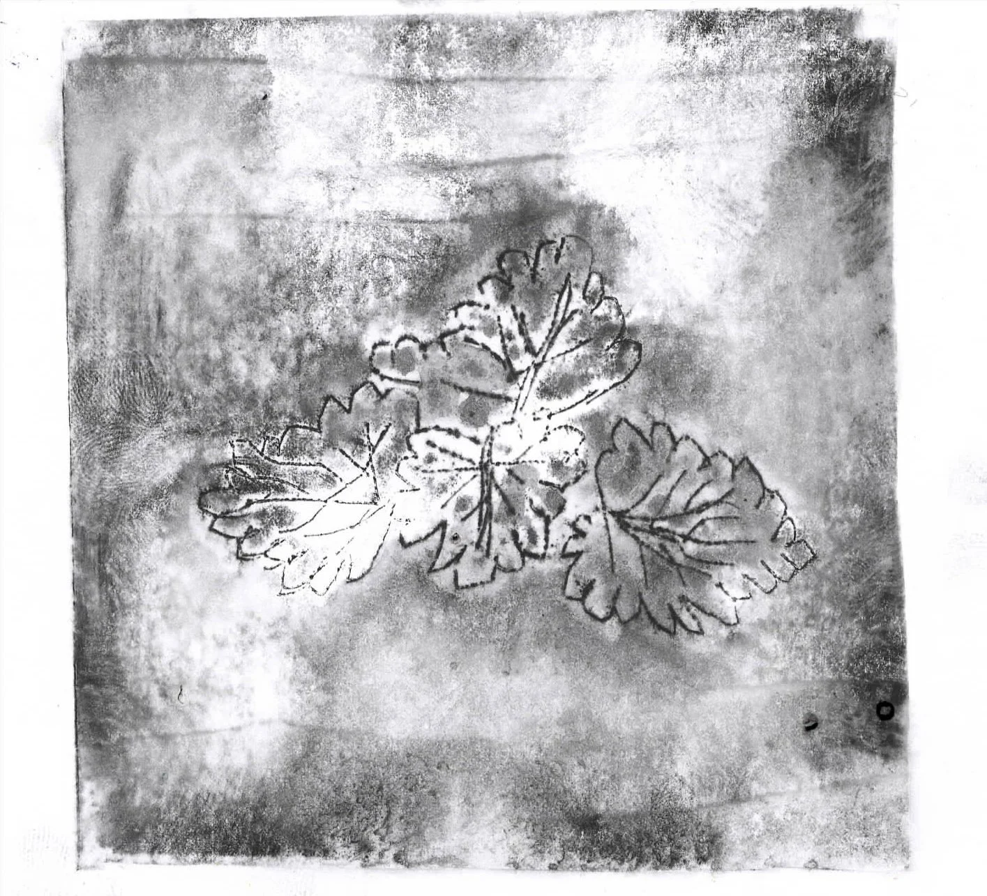 Scan 15.jpeg