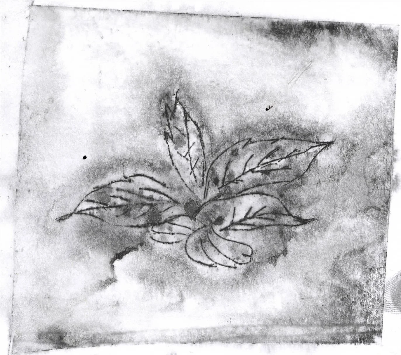 Scan 20.jpeg