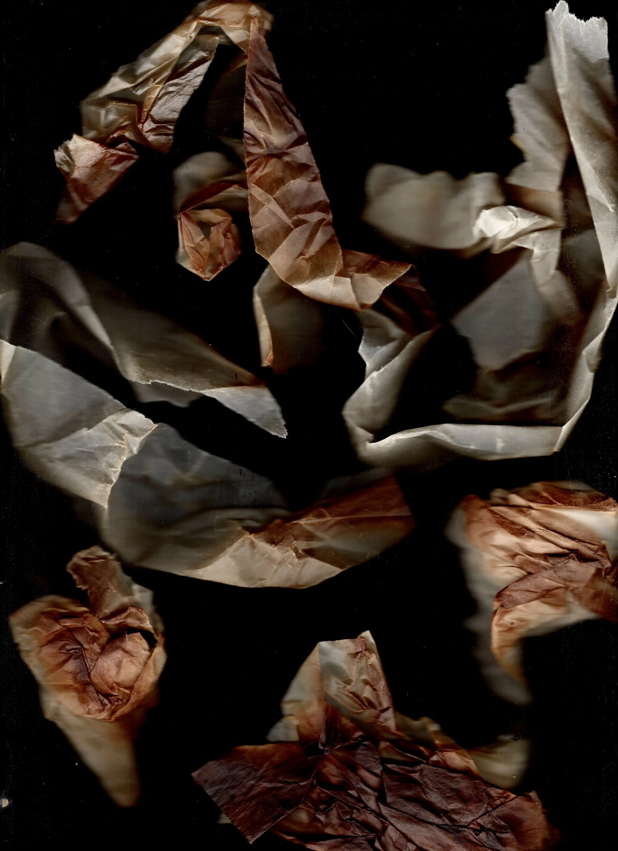 Scan.jpg