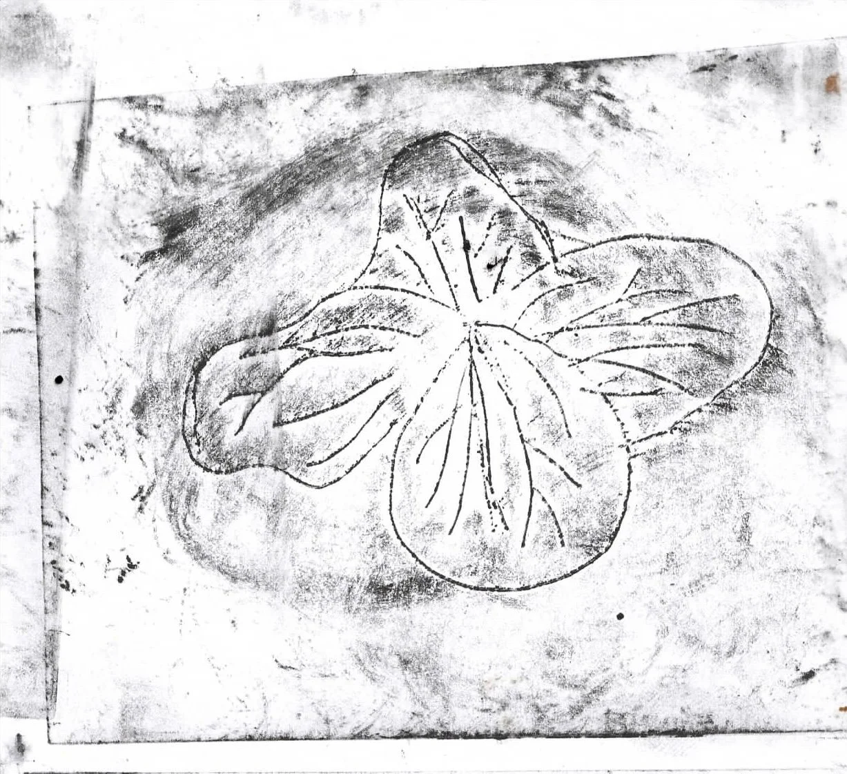 Scan 4.jpeg
