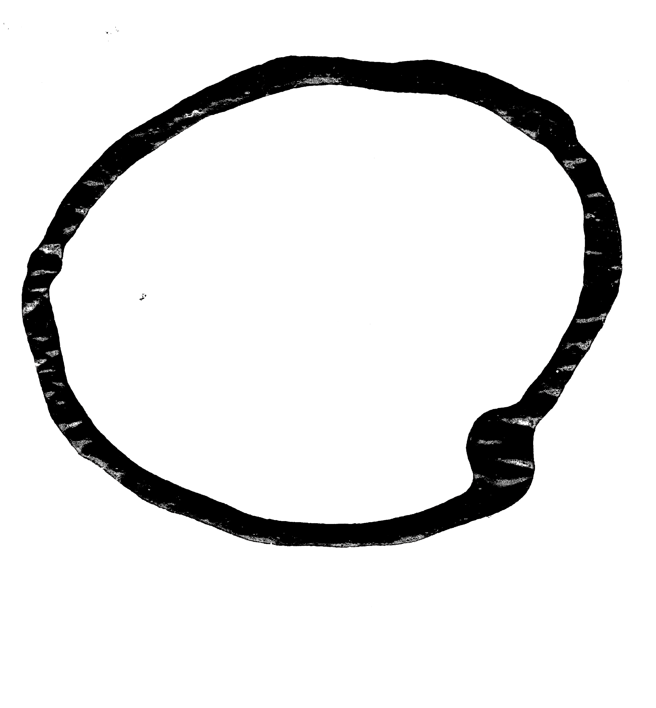 Scan 12.png