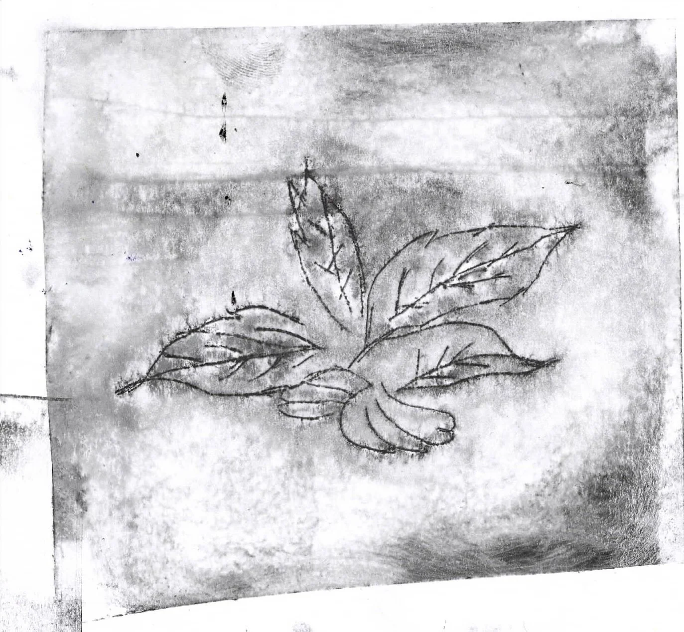 Scan 21.jpeg