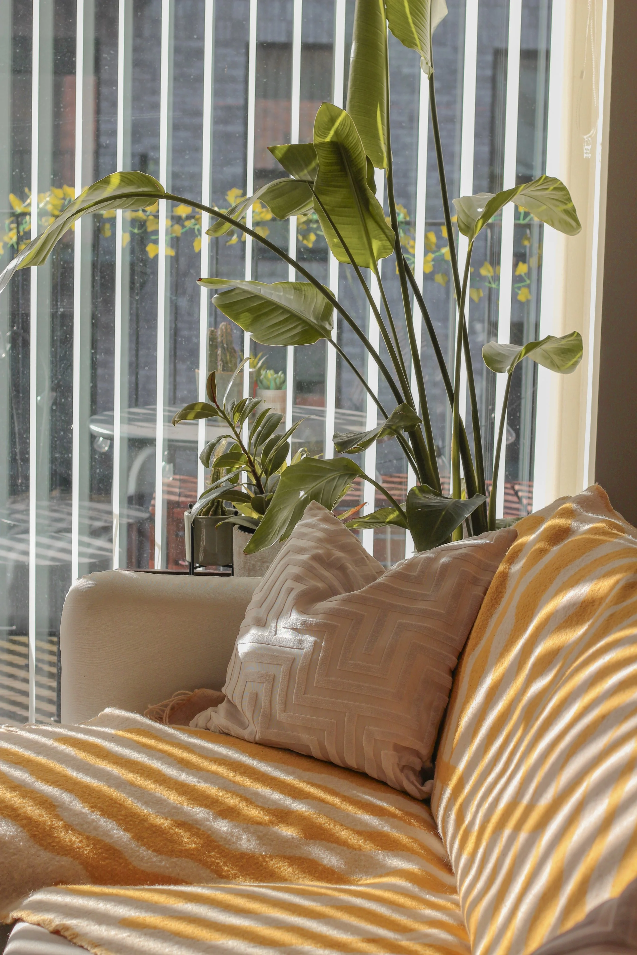 Living room interior design in Bow, London, with striped textiles, soft neutral seating and statement planting