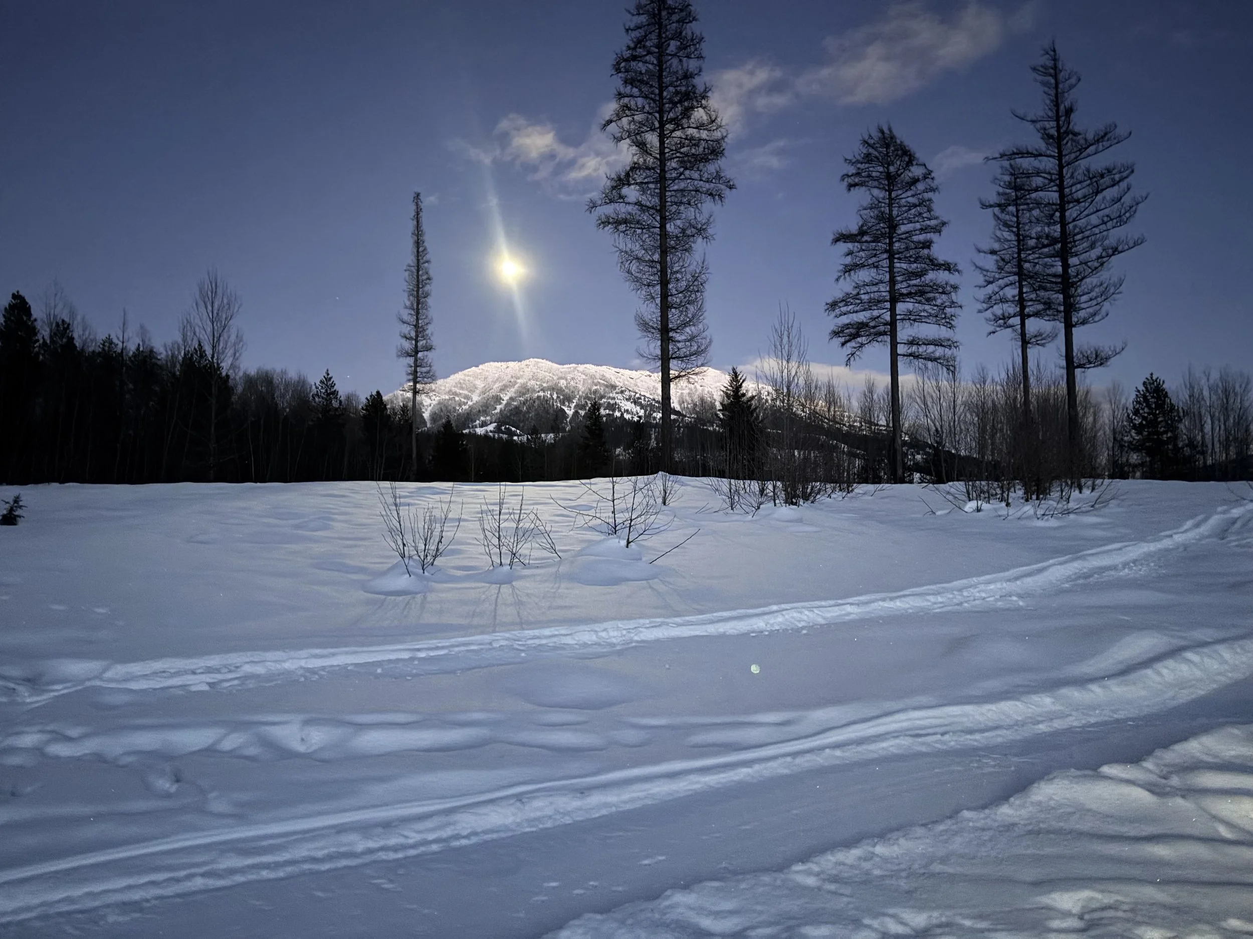 A winter landscape with snow-covered mountain landscape in Elk Valley, British Columbia