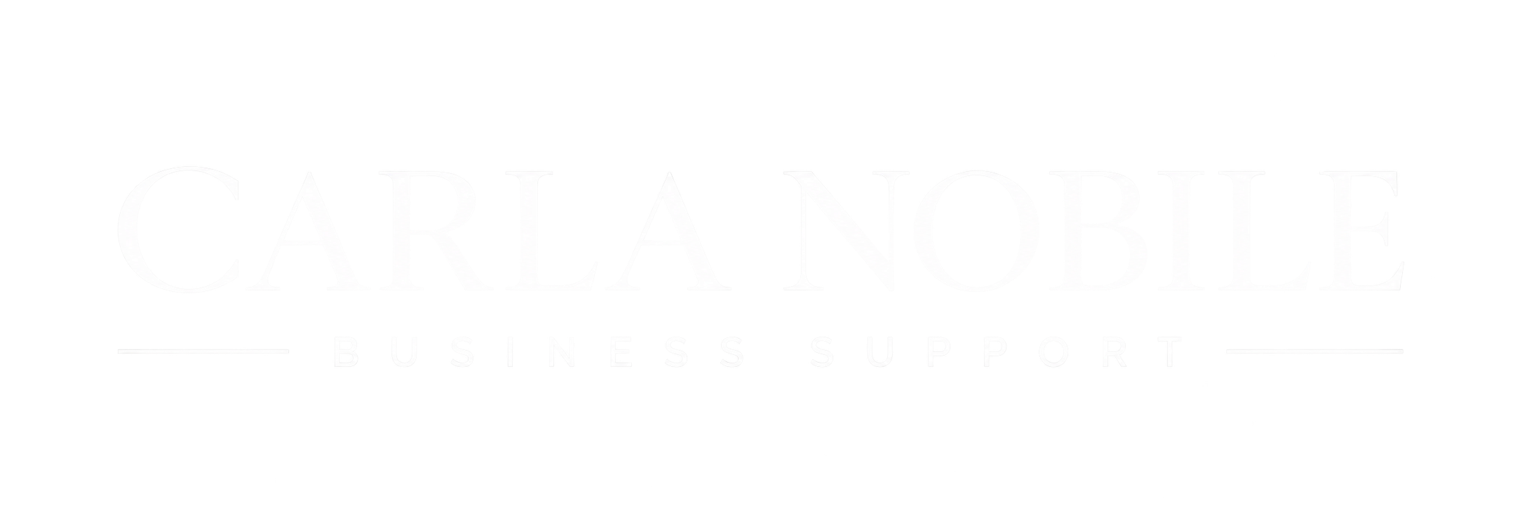 Virtual assistant business support
