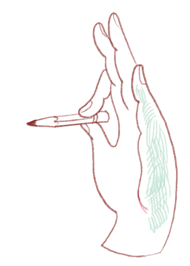Diagramma degli organi riproduttivi maschili, mostra la prostata, i testicoli e i canali spermatici.