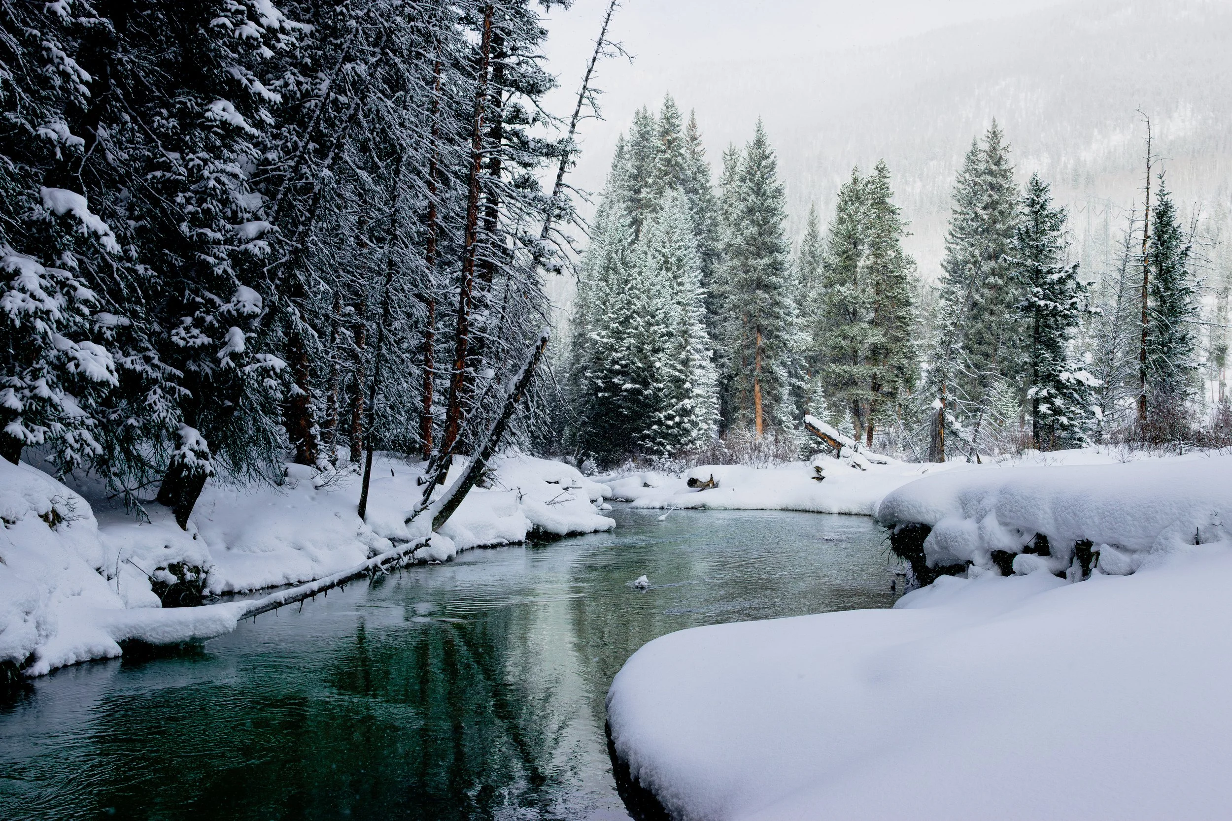 AV8A2051-Enhanced-NR.jpg