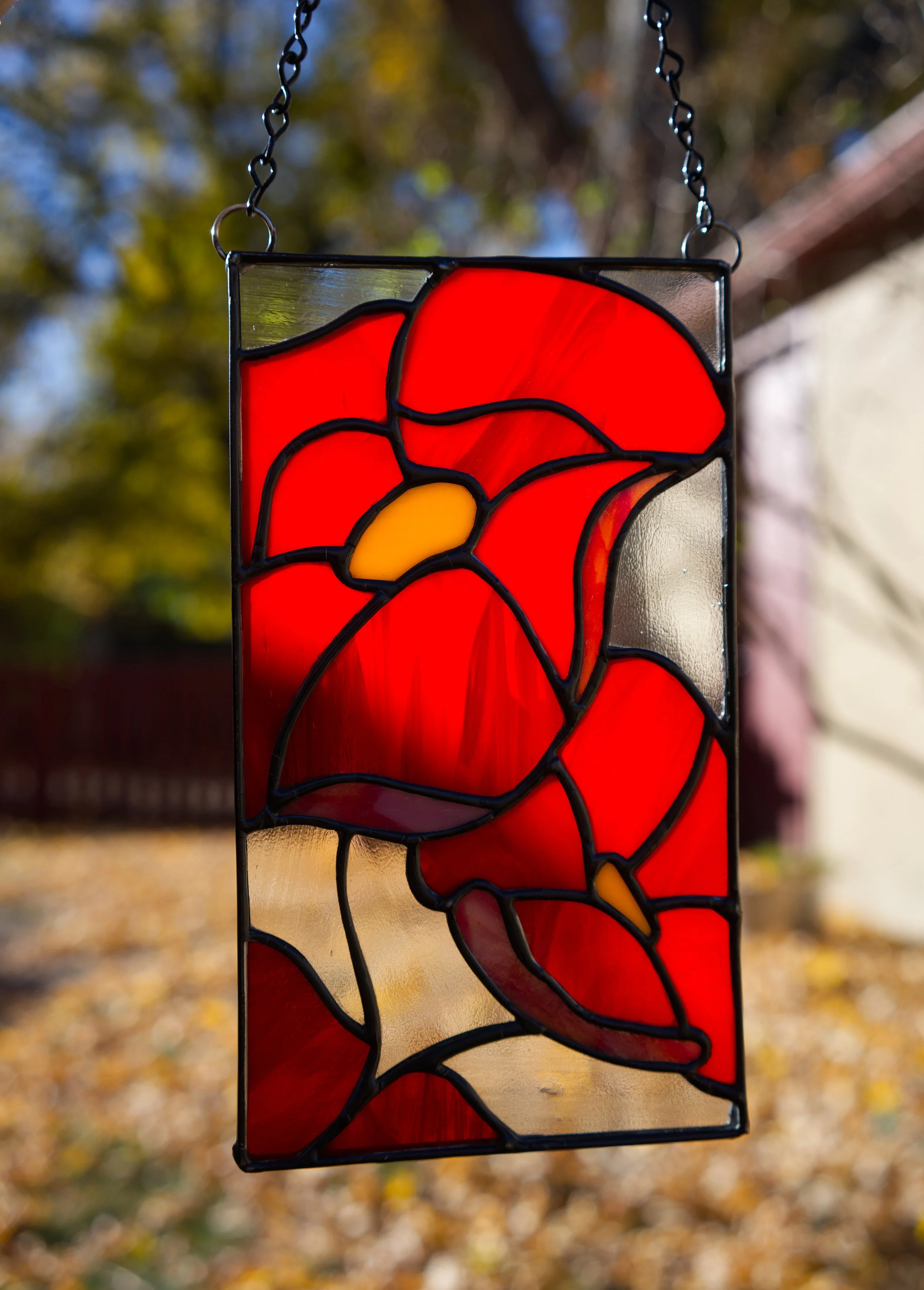 red flower 2.jpg