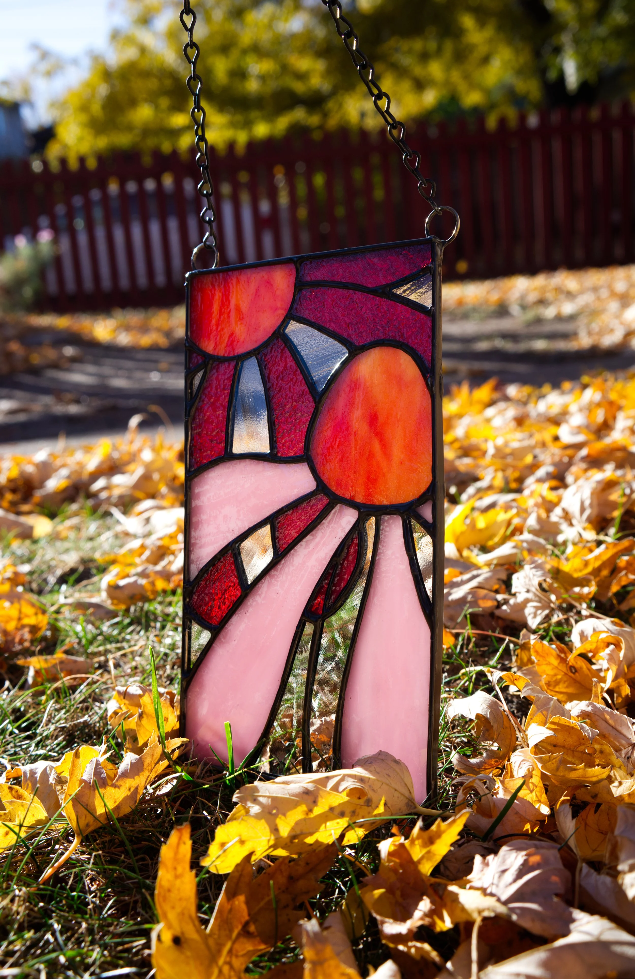 cone flower 1.jpg