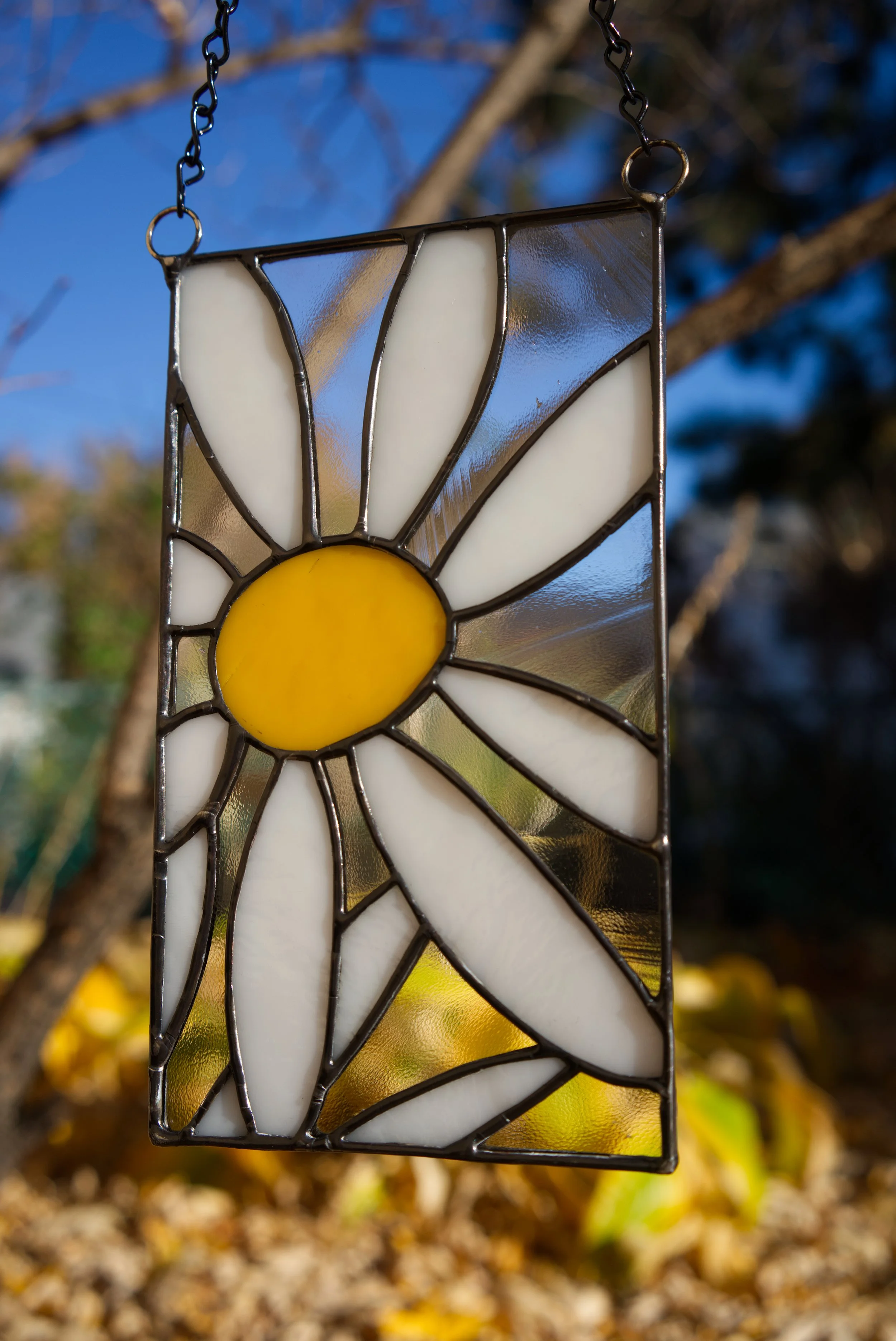 white flowers 6.jpg