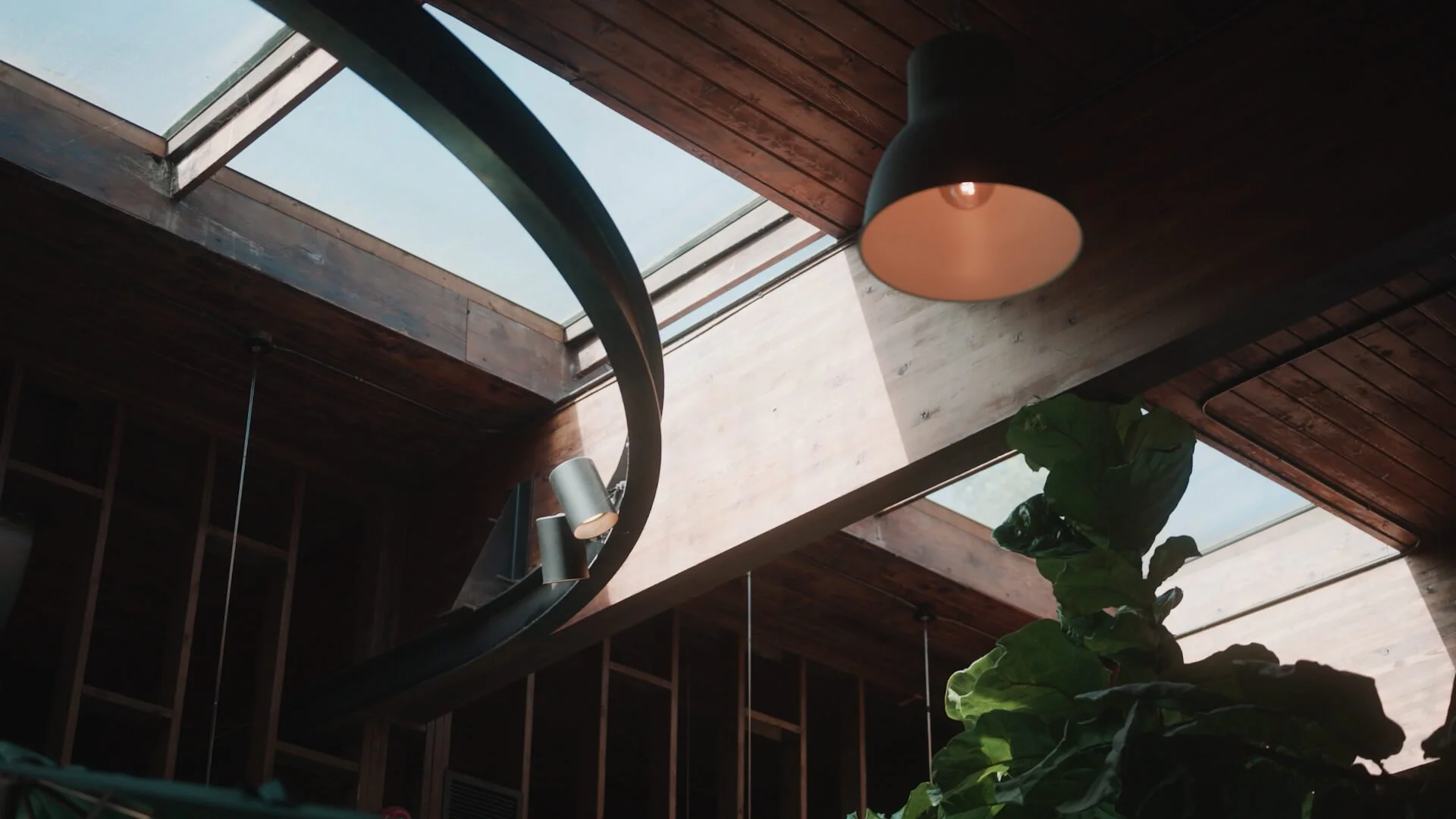 Interior of a modern house with wooden ceiling, a skylight letting in natural light, a black hanging lamp, and green leafy plants.