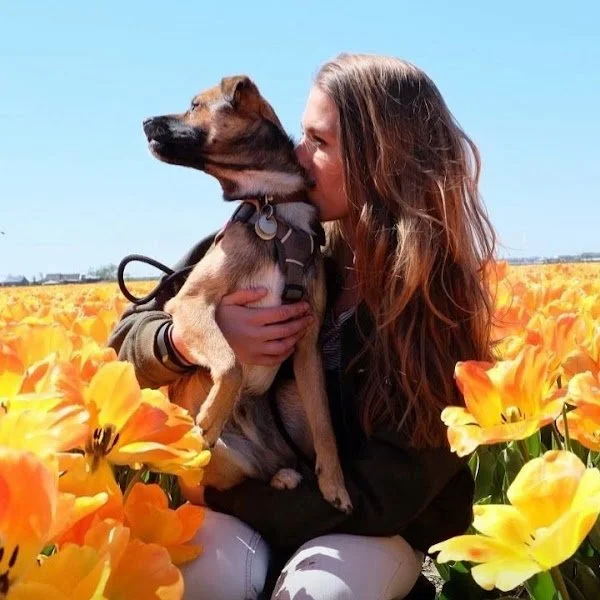 A young woman with long brown hair holding her dog in a field of yellow flowers under a clear blue sky.