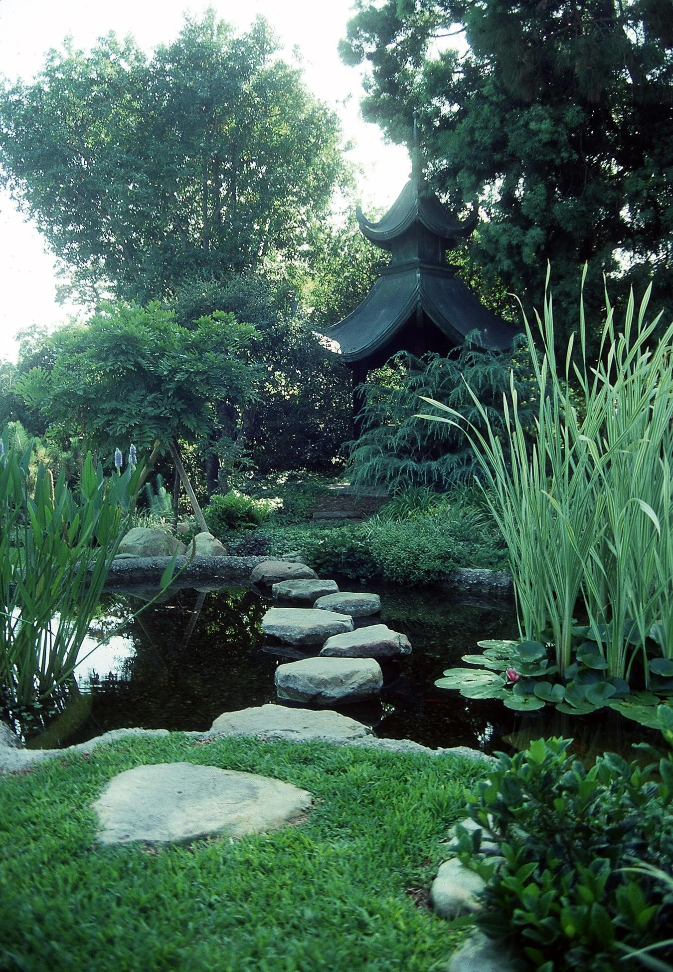 1147 (Copy).jpg