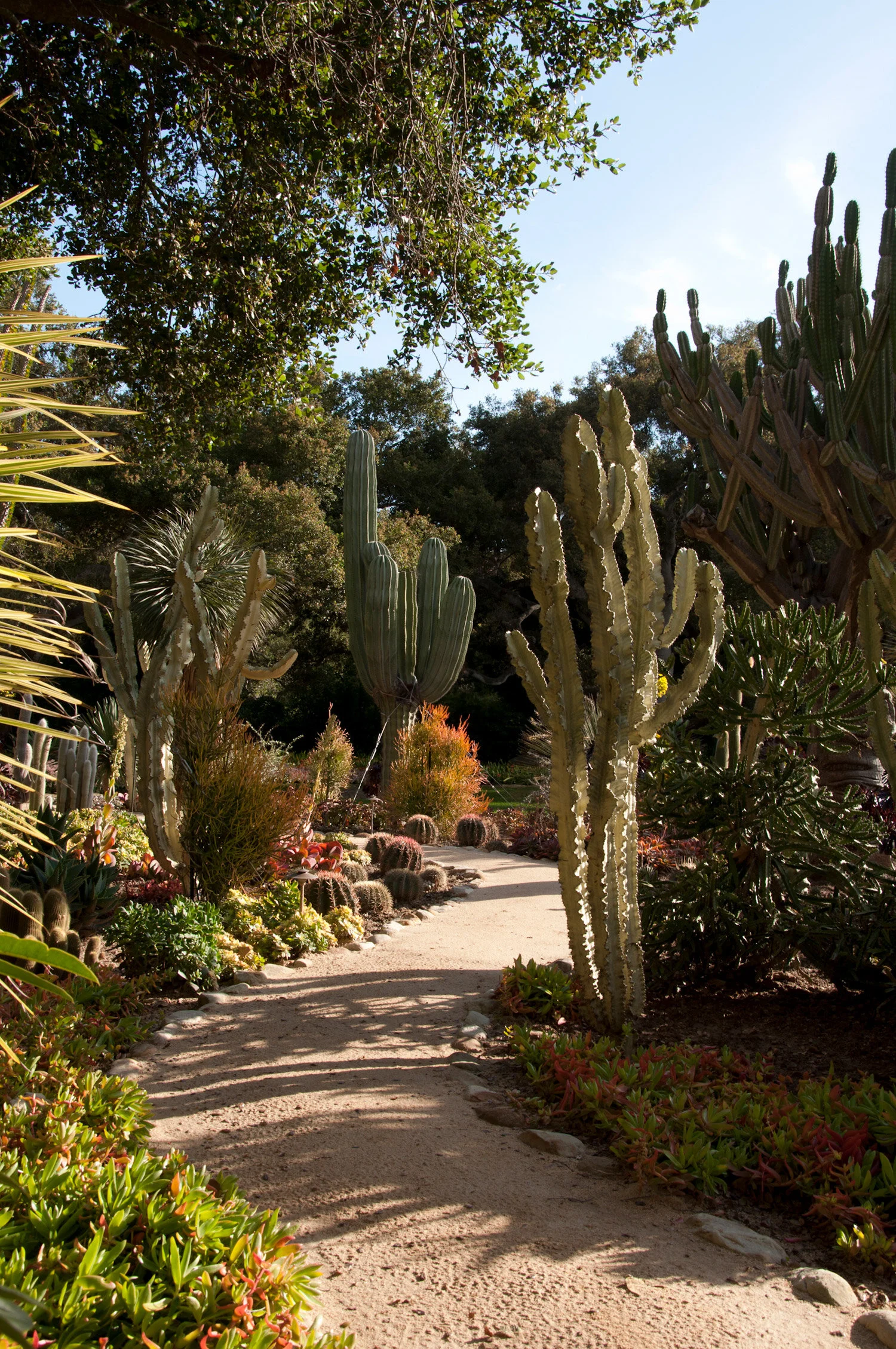 arequipa-arcadia-studio-2259.jpg