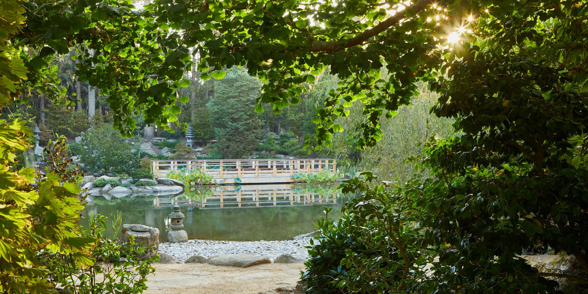 Arcadia-Lotusland-CP_5620v2.jpg