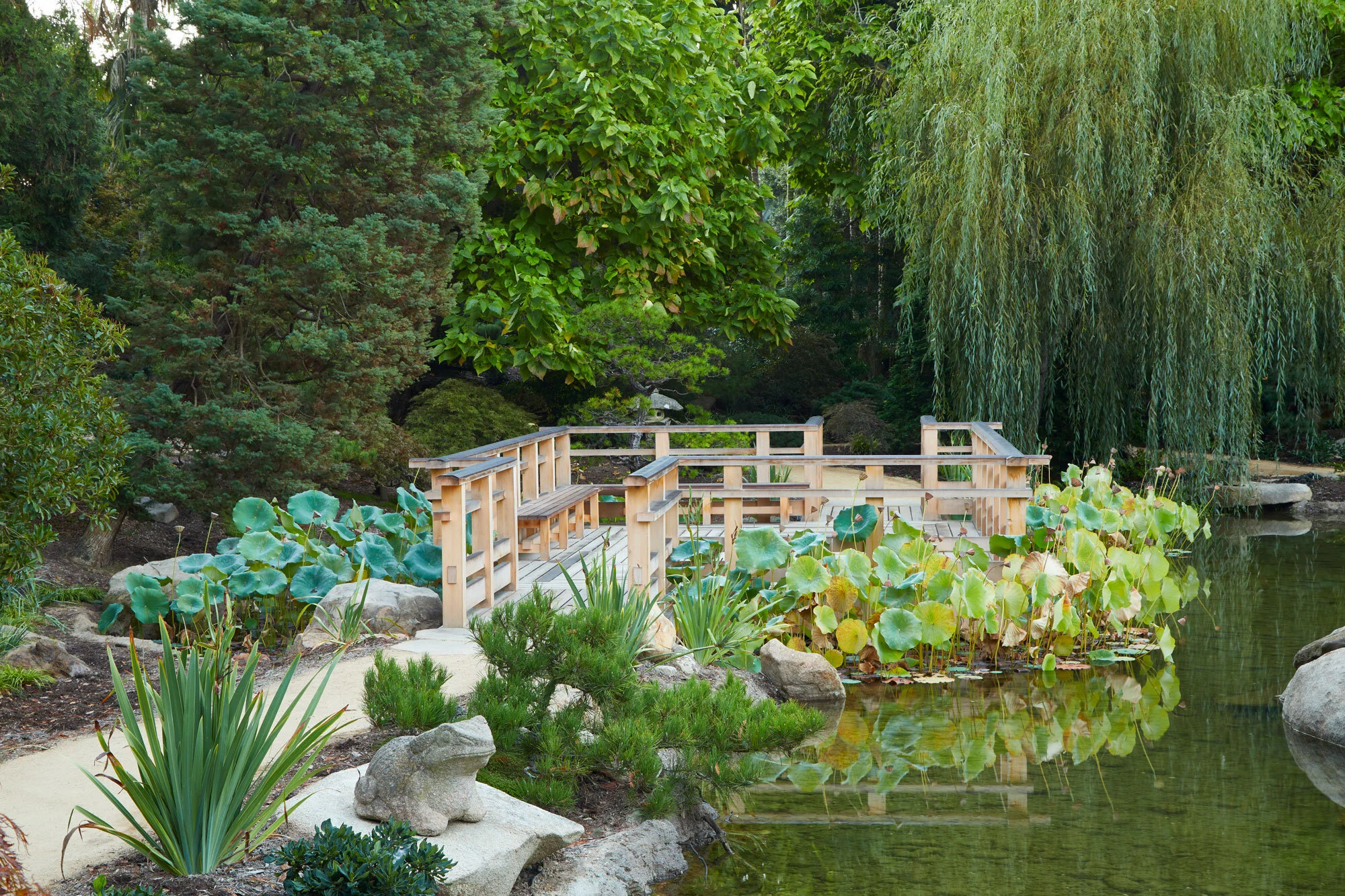 Arcadia-Lotusland-CP_5555v2.jpg
