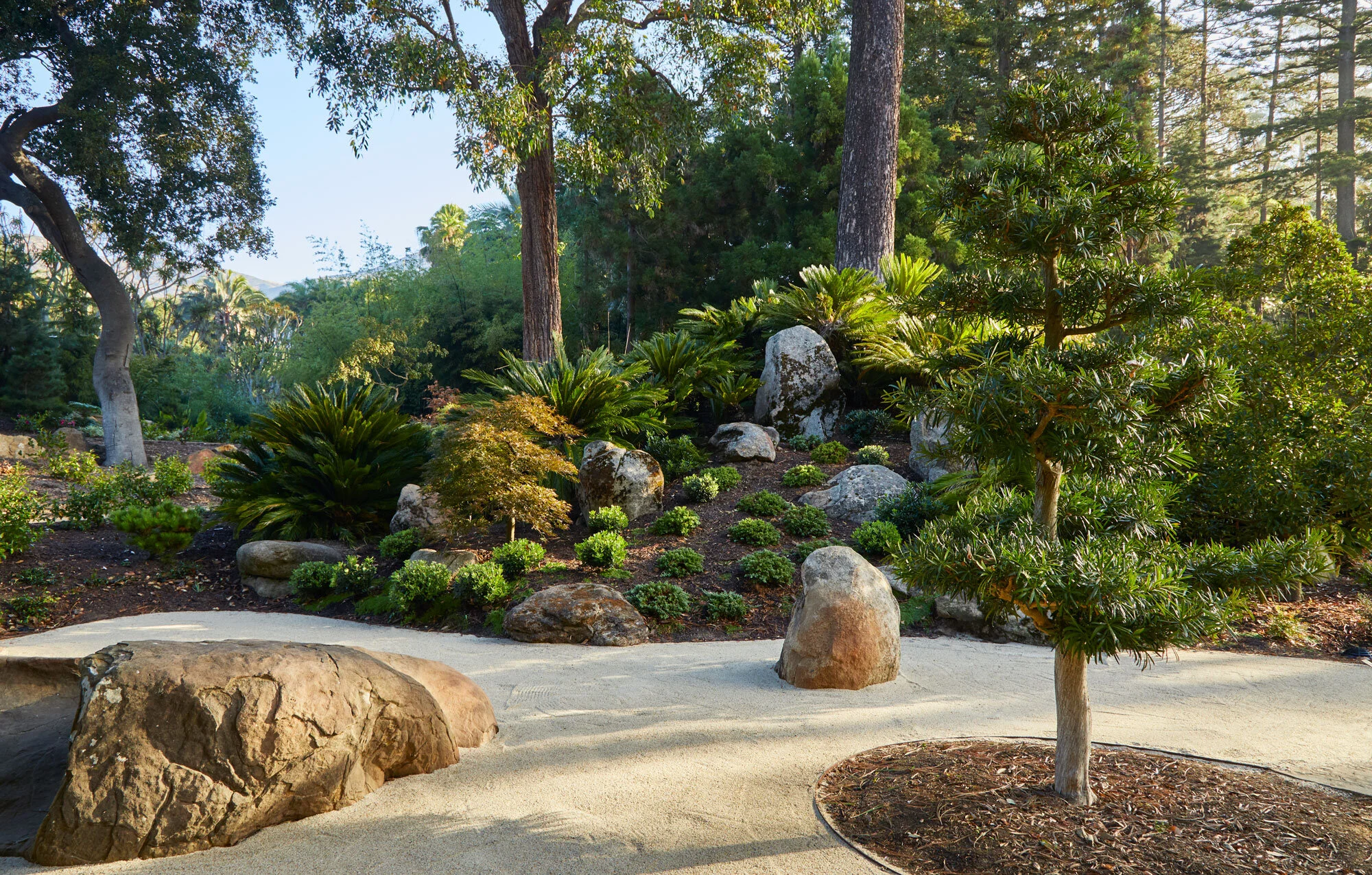 Arcadia-Lotusland-CP_5720v2.jpg