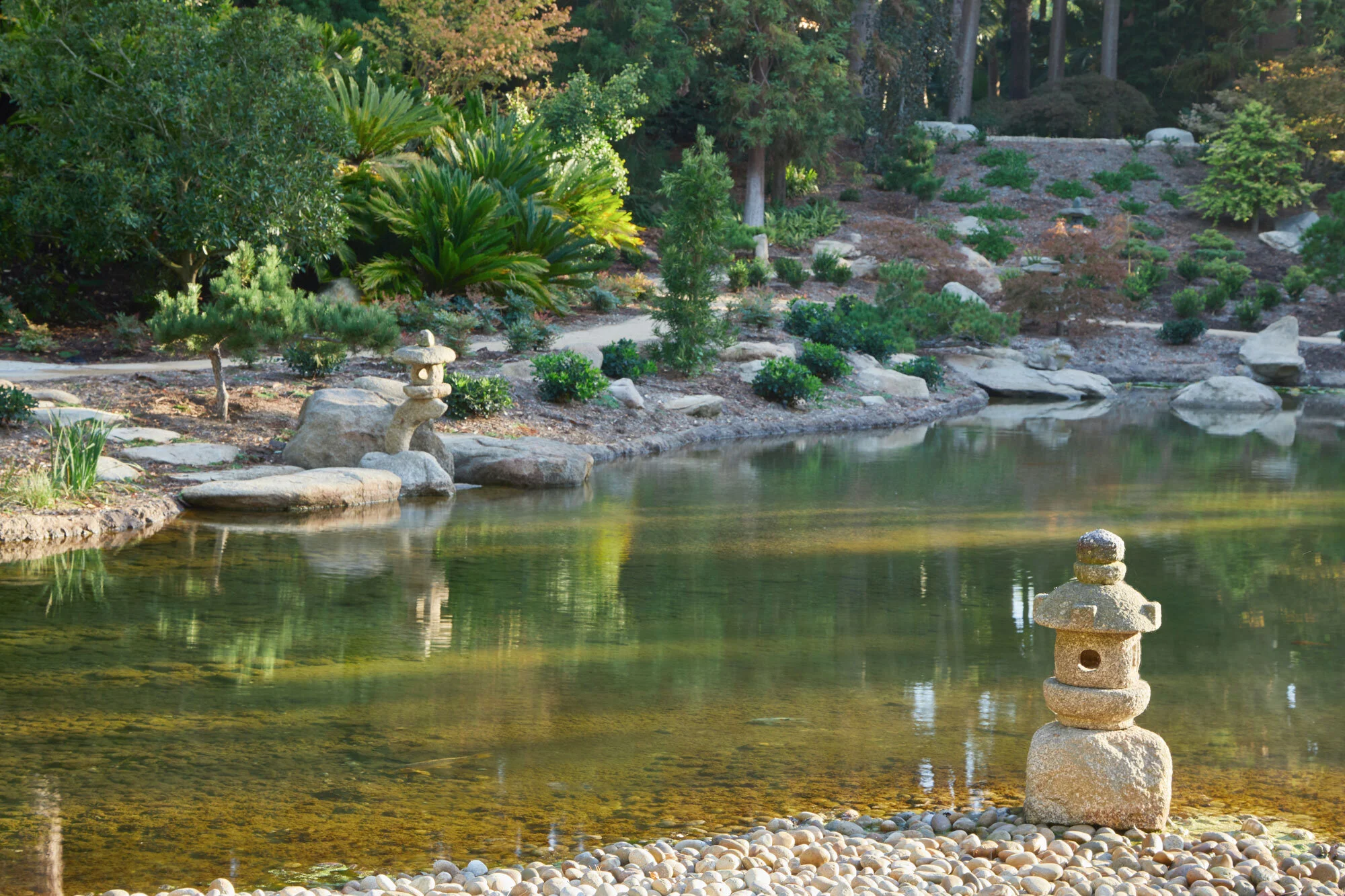 Arcadia-Lotusland-CP_5670v2.jpg
