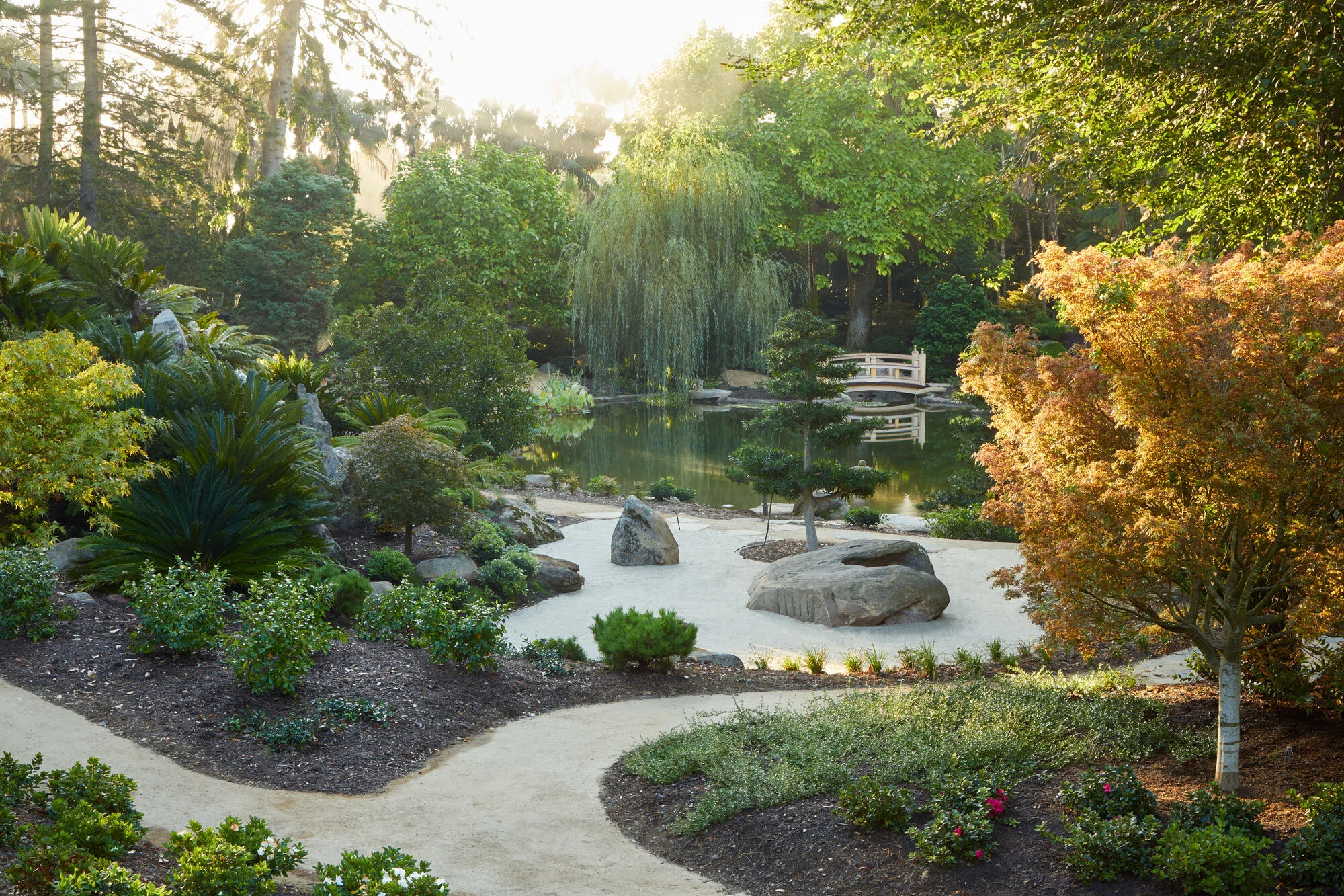 Arcadia-Lotusland-CP_5642v2.jpg