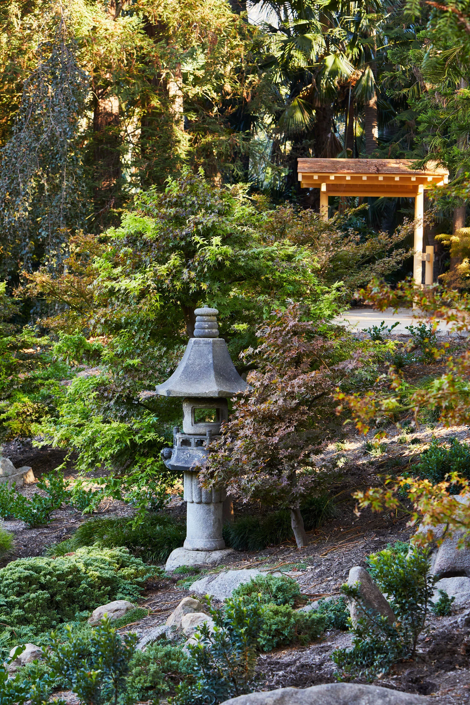 Arcadia-Lotusland-CP_5707v2.jpg