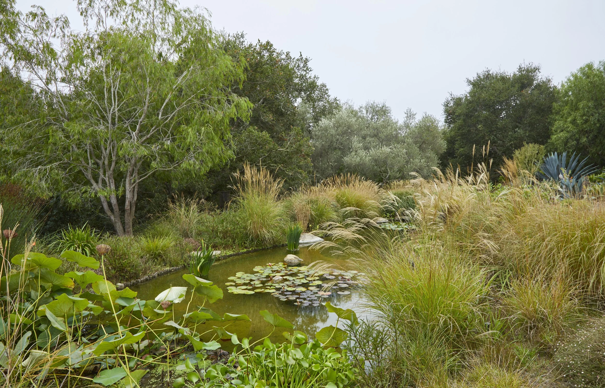 _CP_6244 (Copy) (Copy).jpg