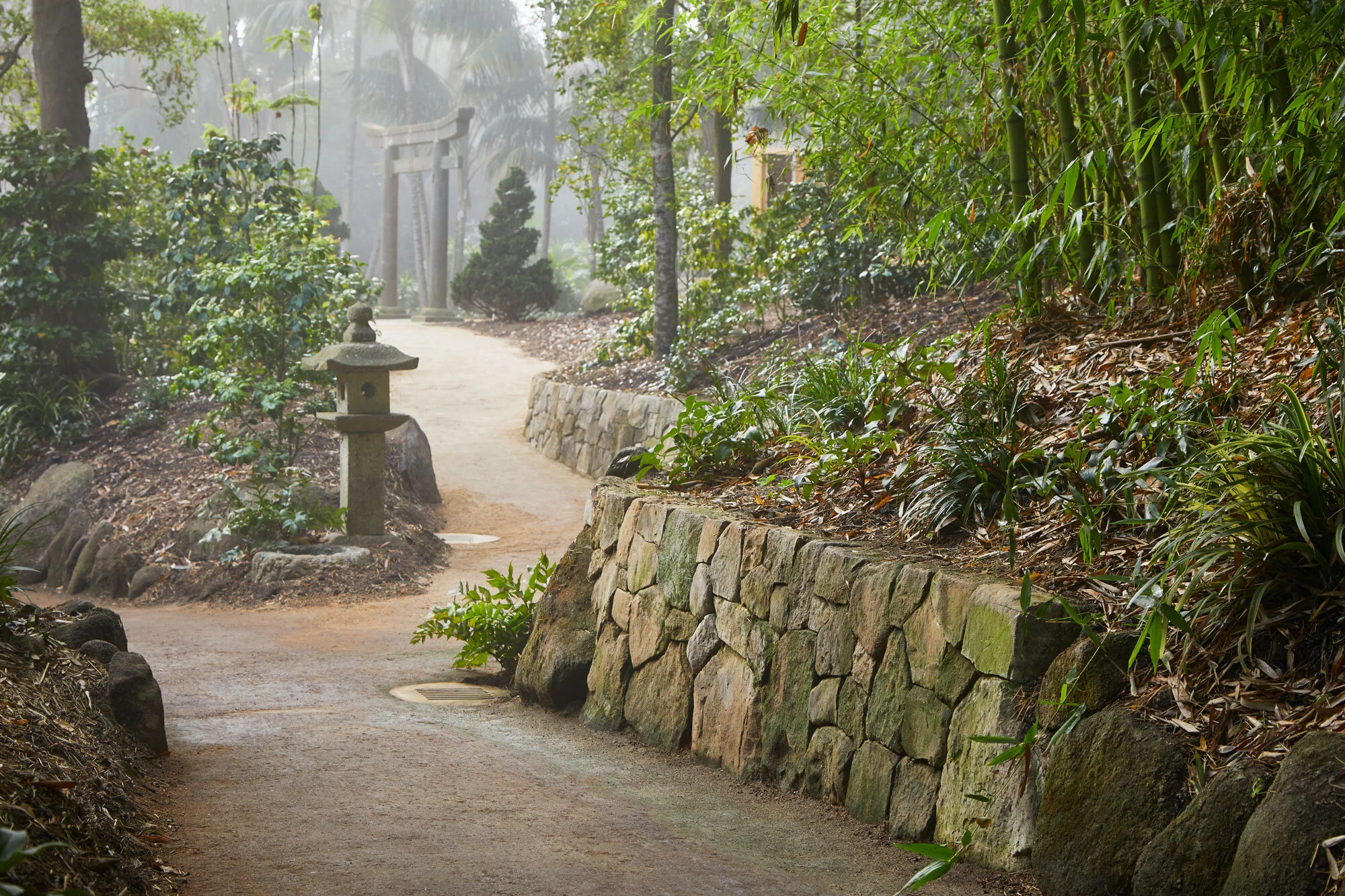 Arcadia-Lotusland-CP_5759v2.jpg