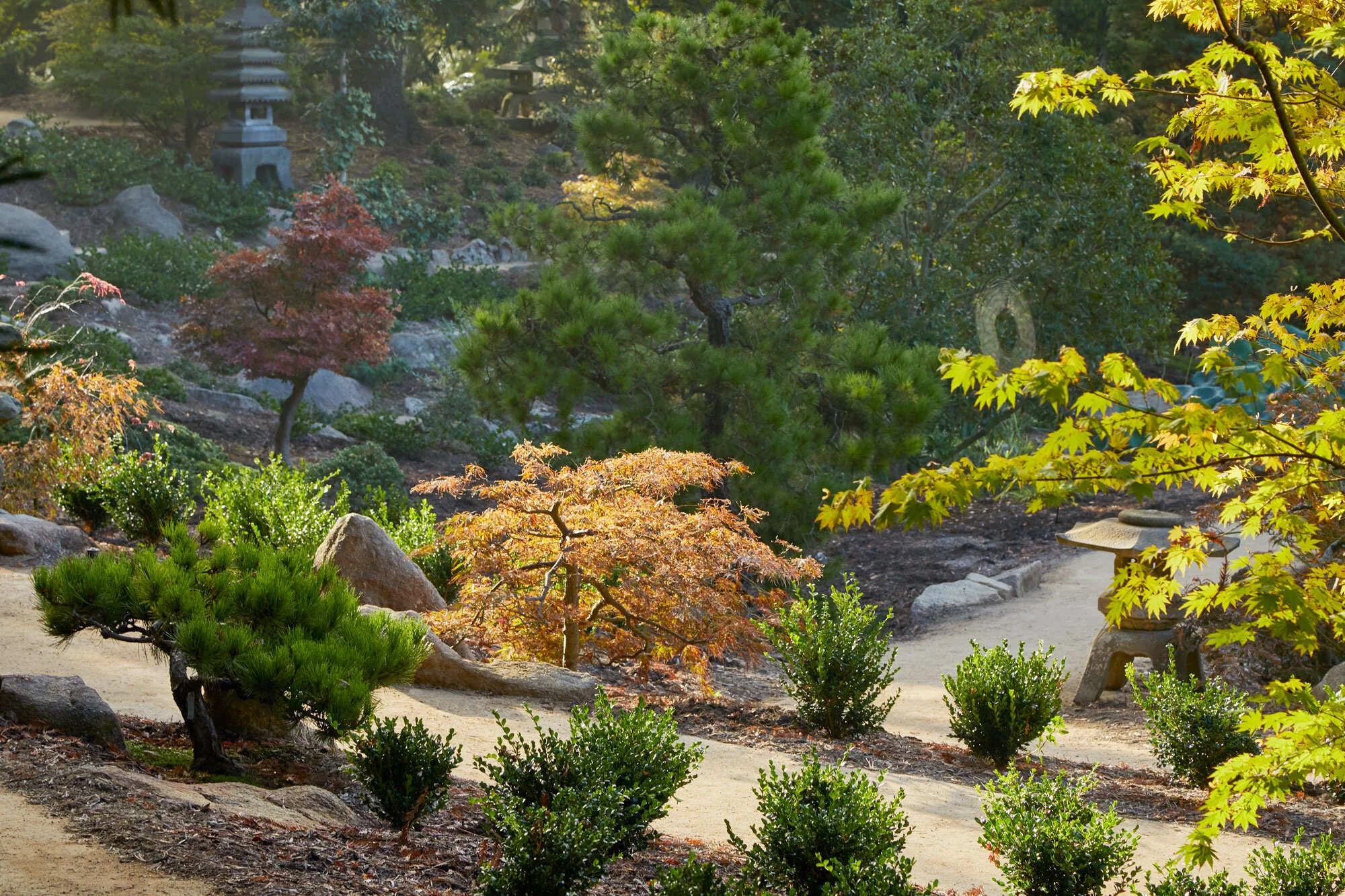 Arcadia-Lotusland-CP_5727v2.jpg