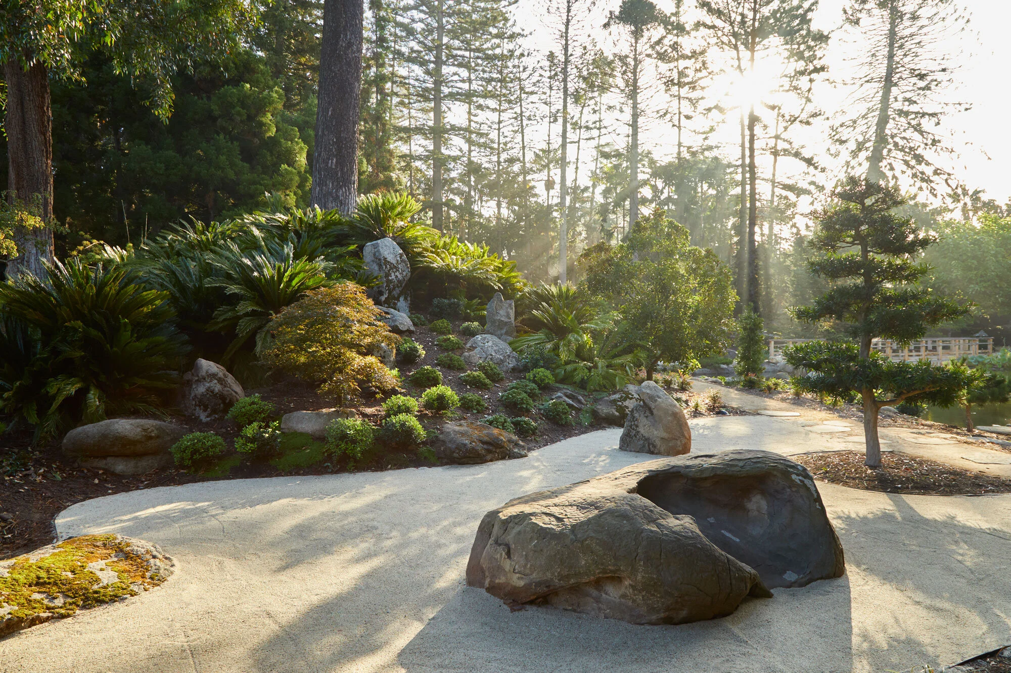 Arcadia-Lotusland-CP_5716v2.jpg