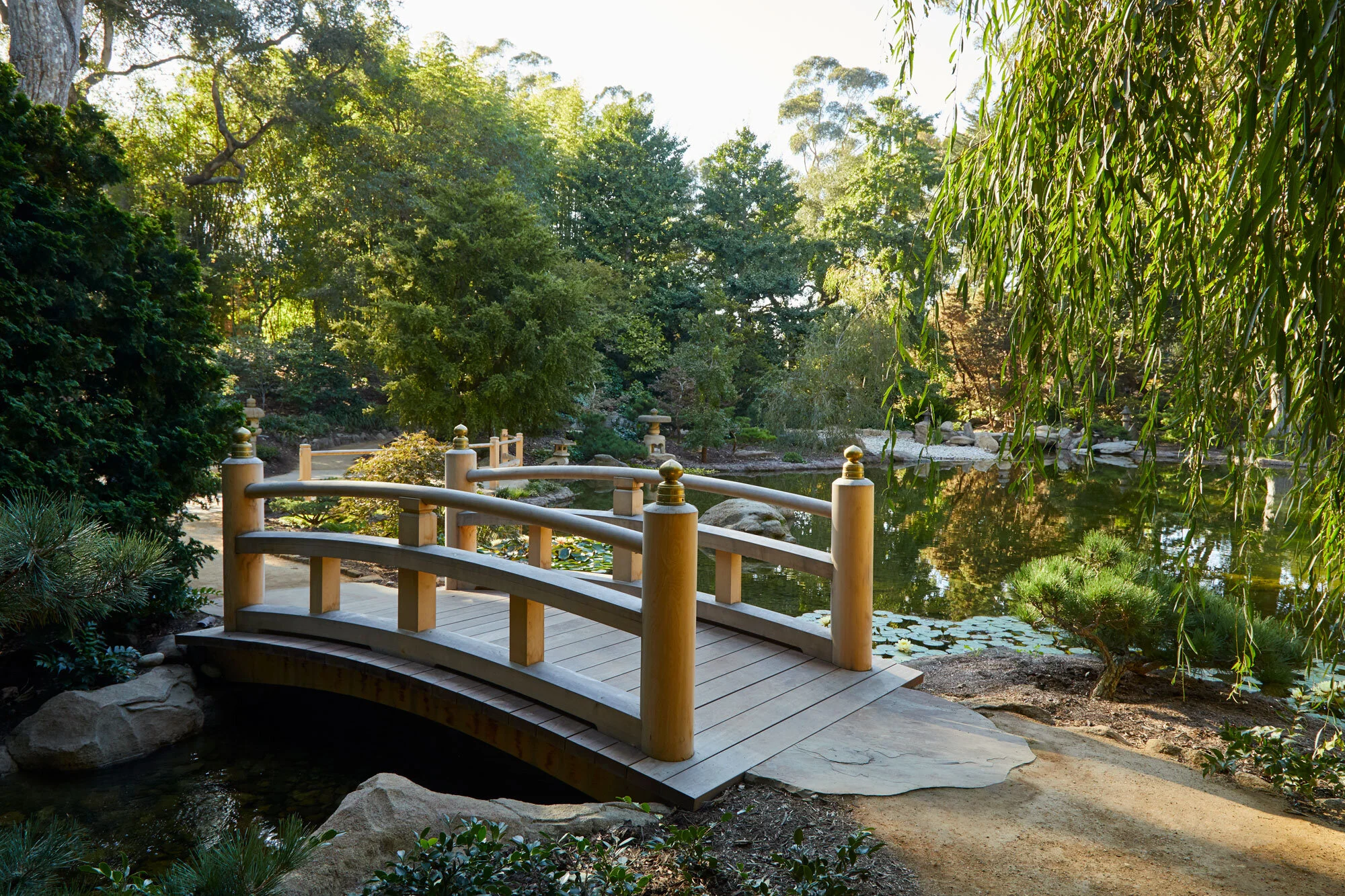 Arcadia-Lotusland-CP_5919v2.jpg