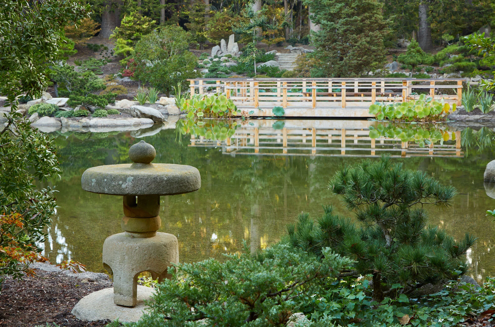 Arcadia-Lotusland-CP_5609v2.jpg