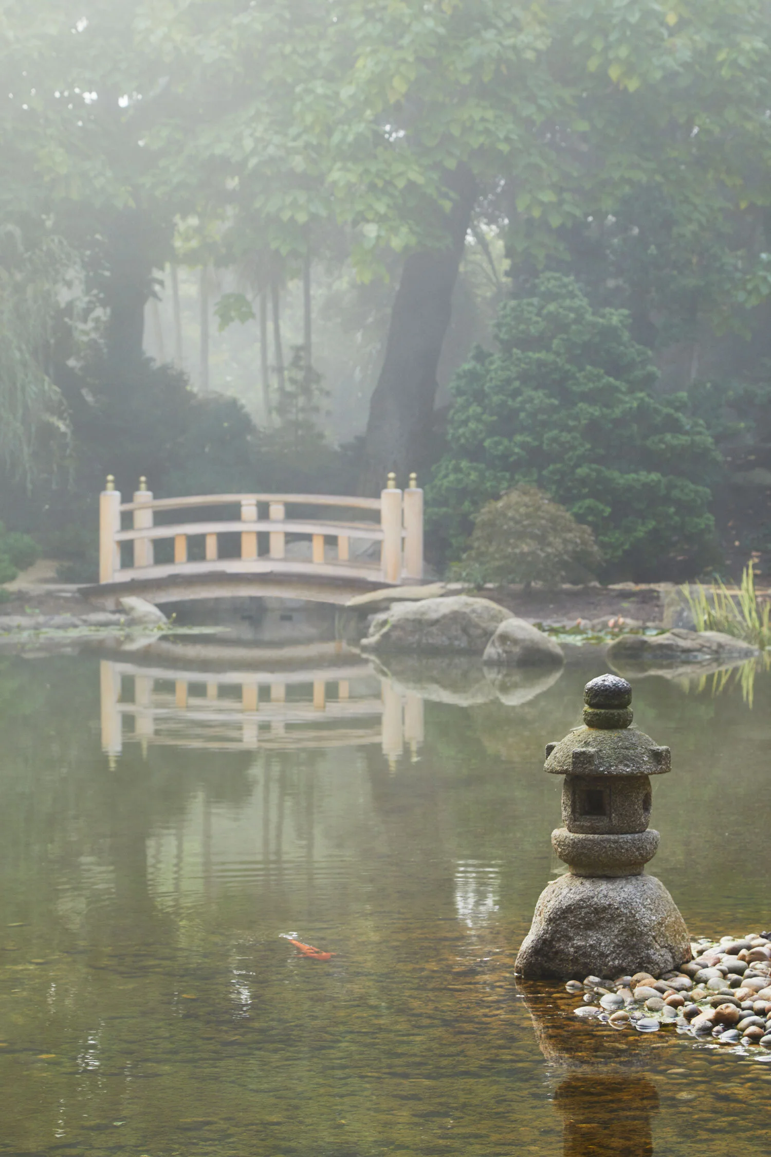 Arcadia-Lotusland-CP_5768v2.jpg