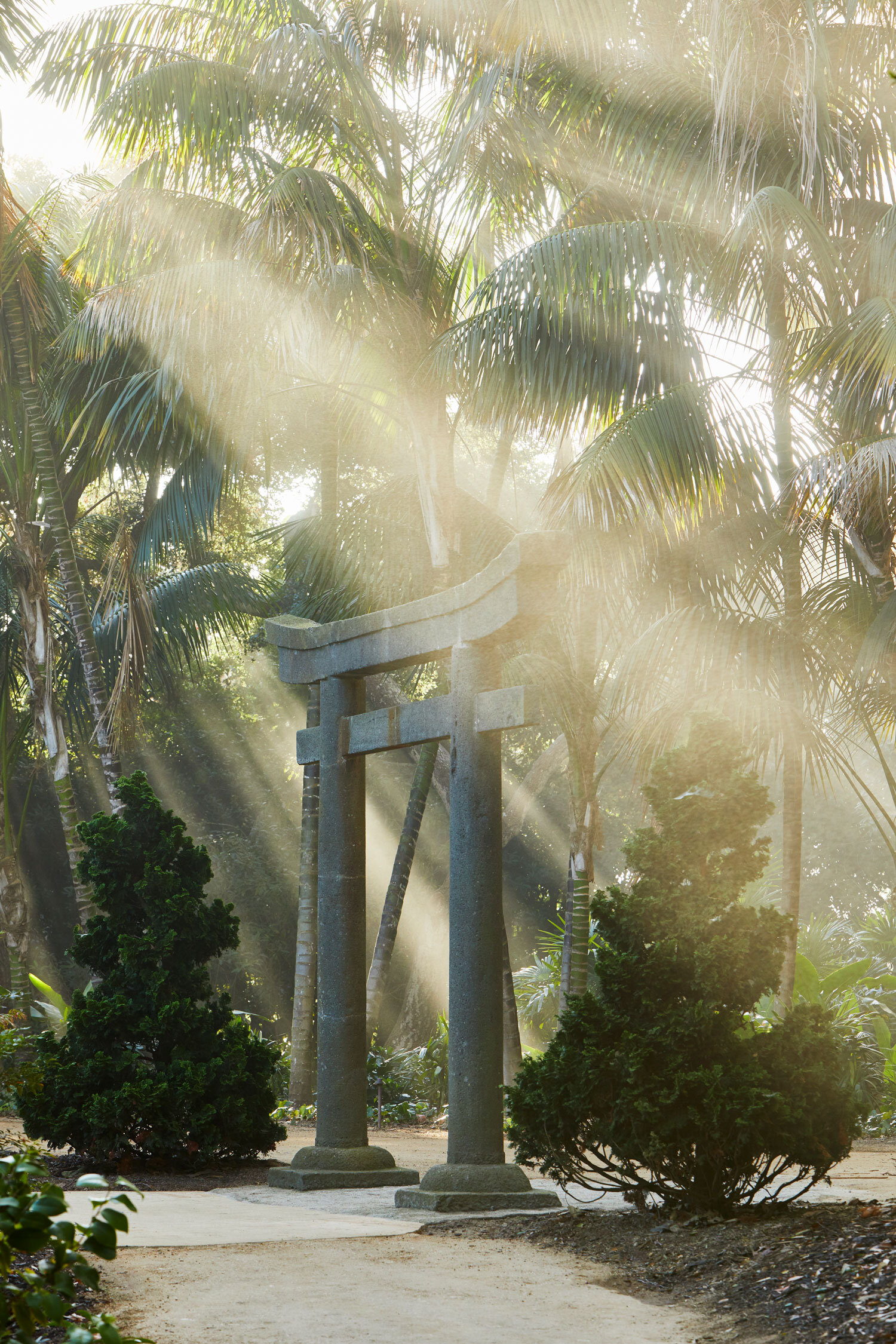 Arcadia-Lotusland-CP_5690v2.jpg