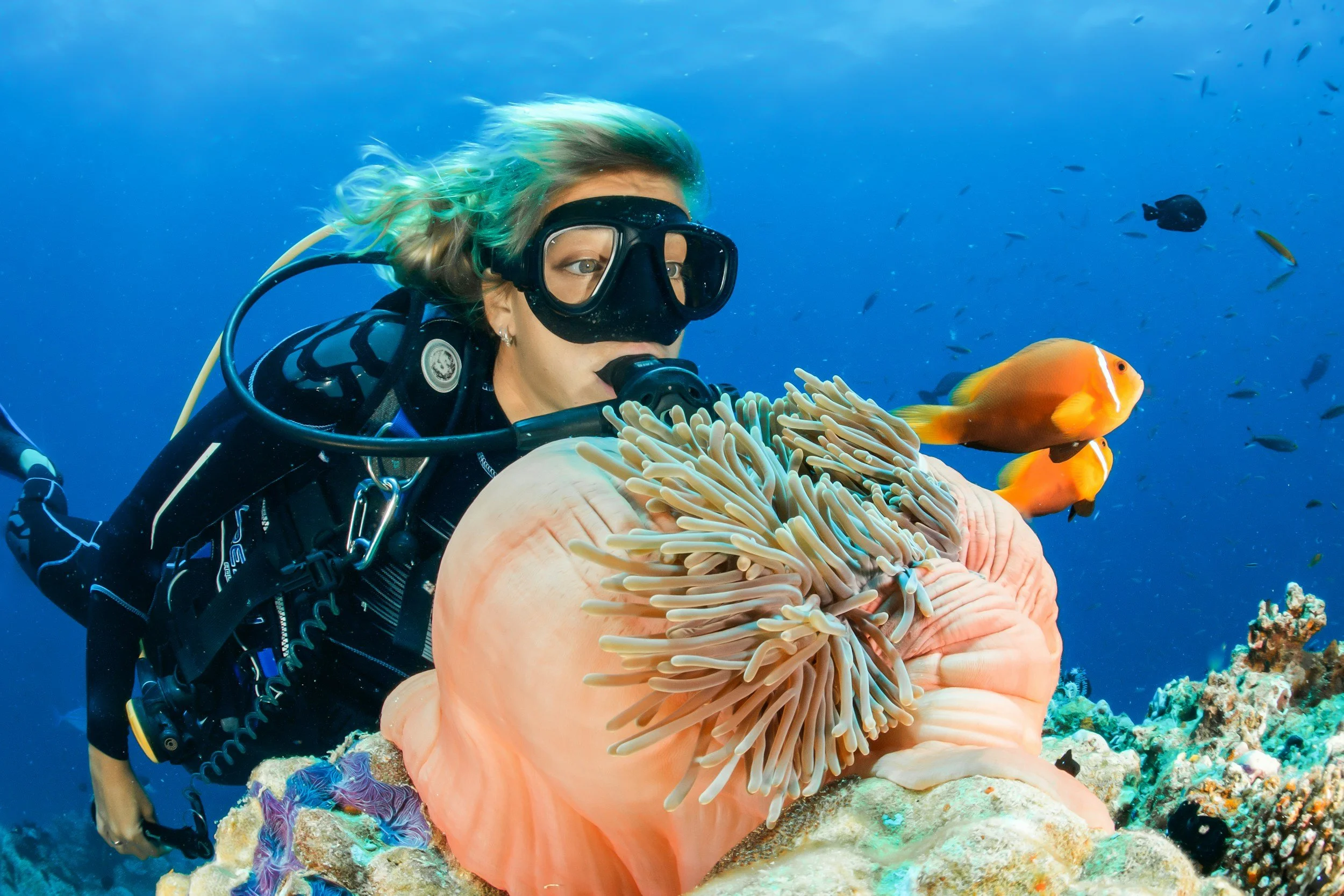 A woman scuba diving underwater with a mask, exploring a large sea anemone with orange fish nearby.
